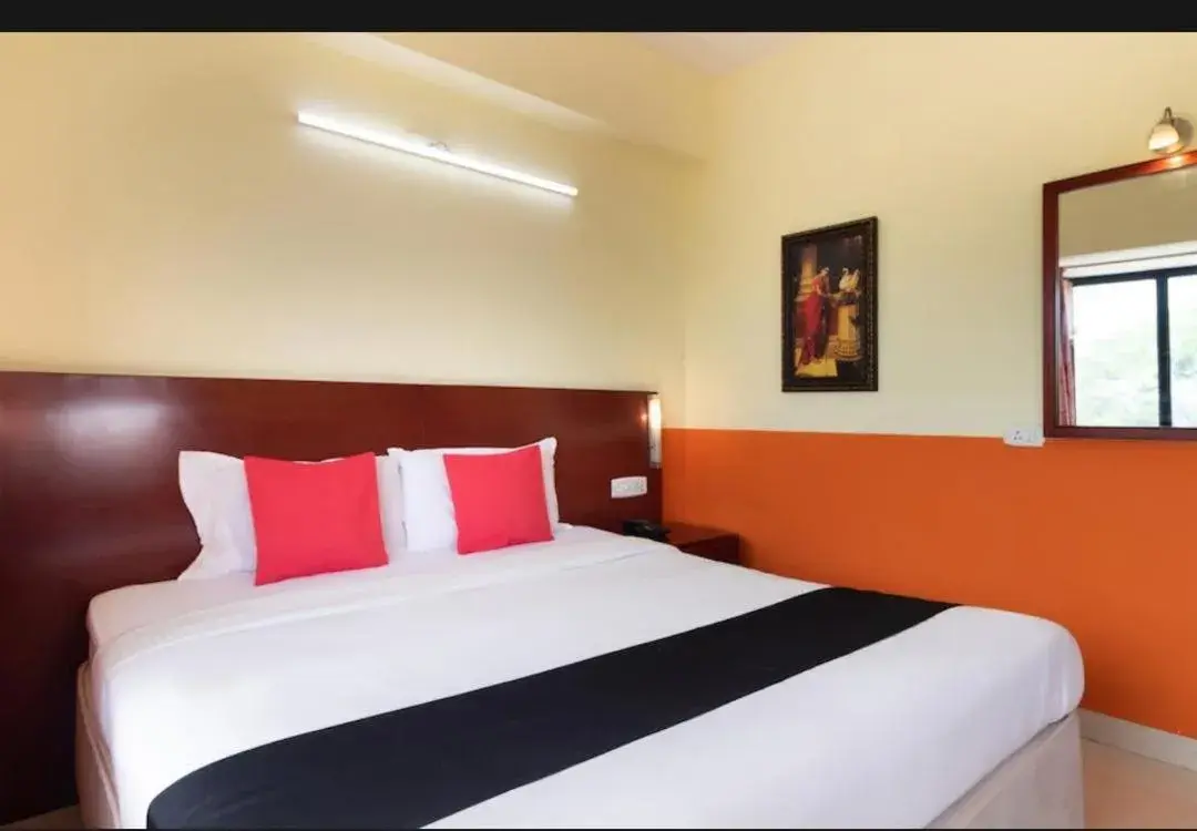 Deluxe Room - single occupancy in Hotel Vassi Palaze Deluxe Room - single occupancy in Hotel Vassi Palaze