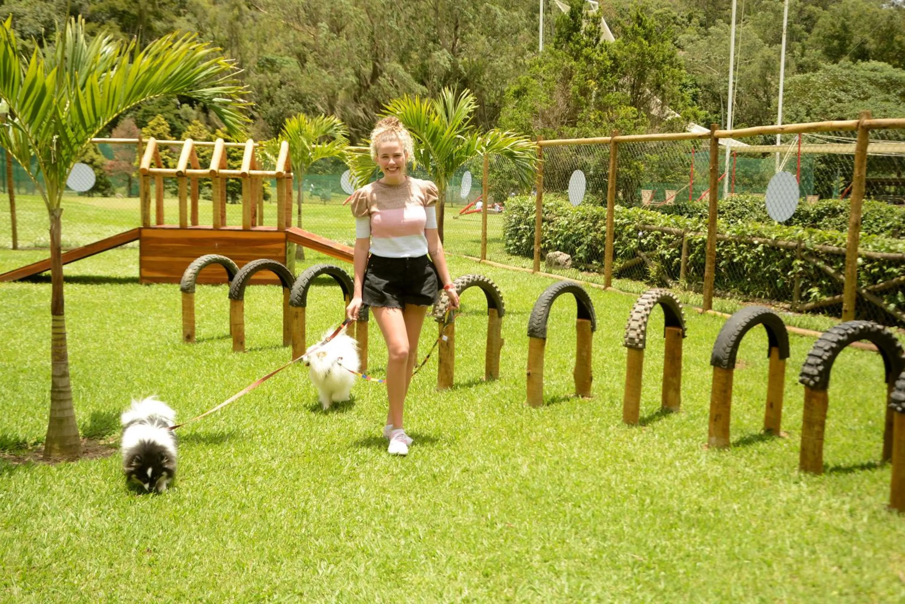 Animals in Village Le Canton