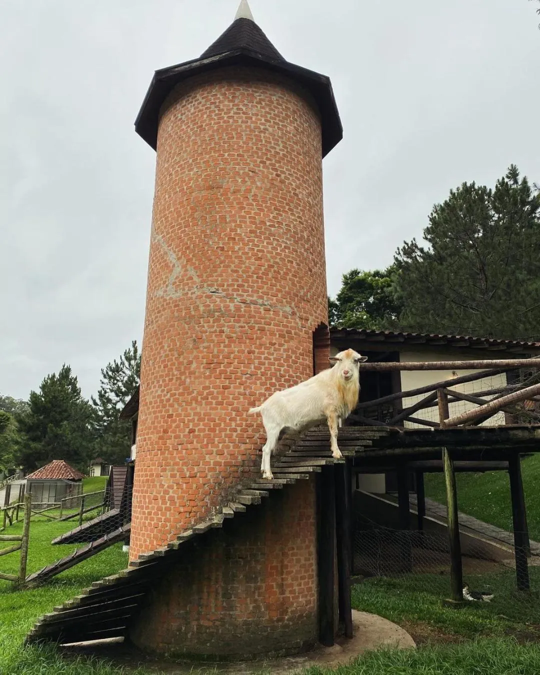 Fazenda Suica Le Canton