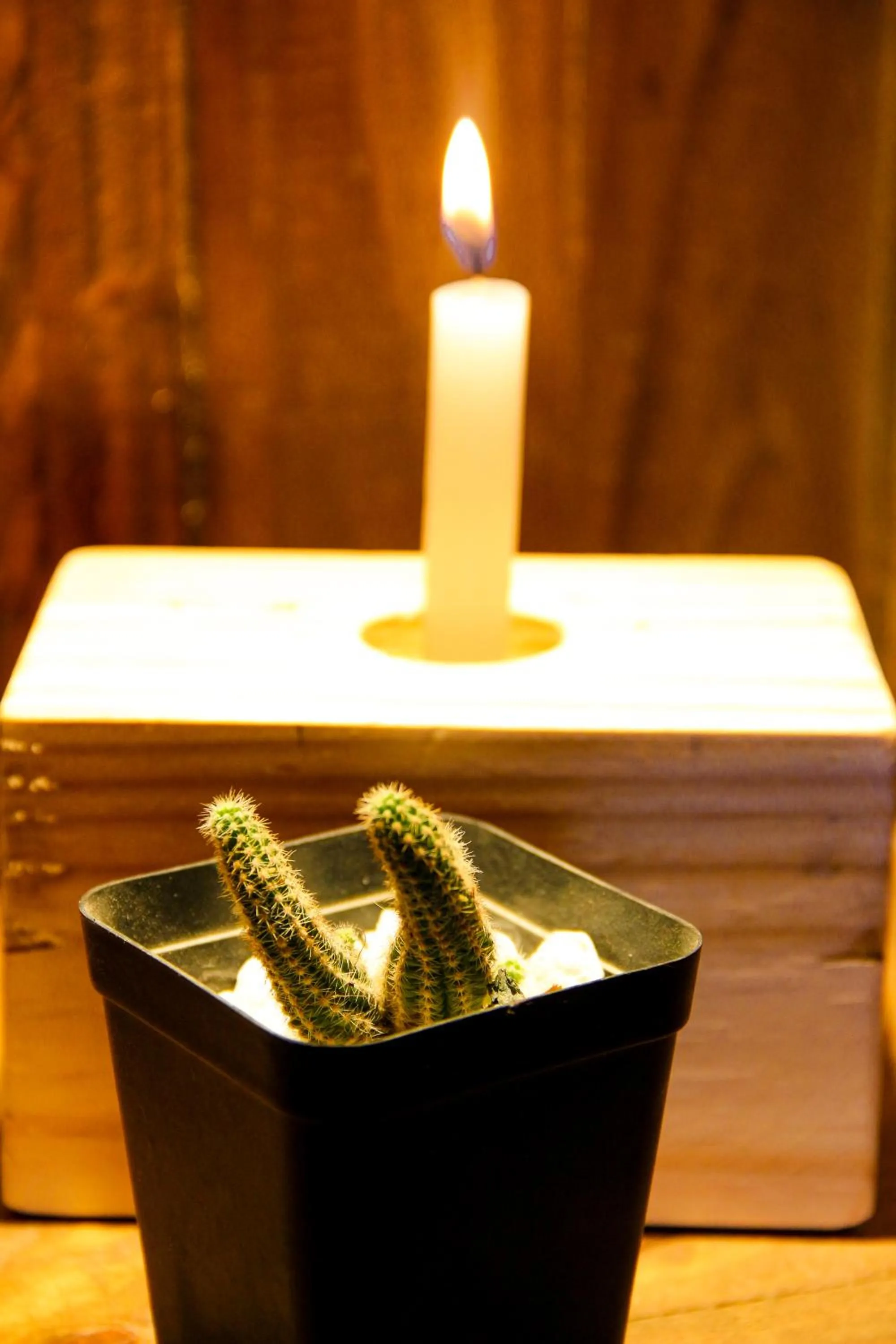 Decorative detail in Hotel Jardines de Uyuni