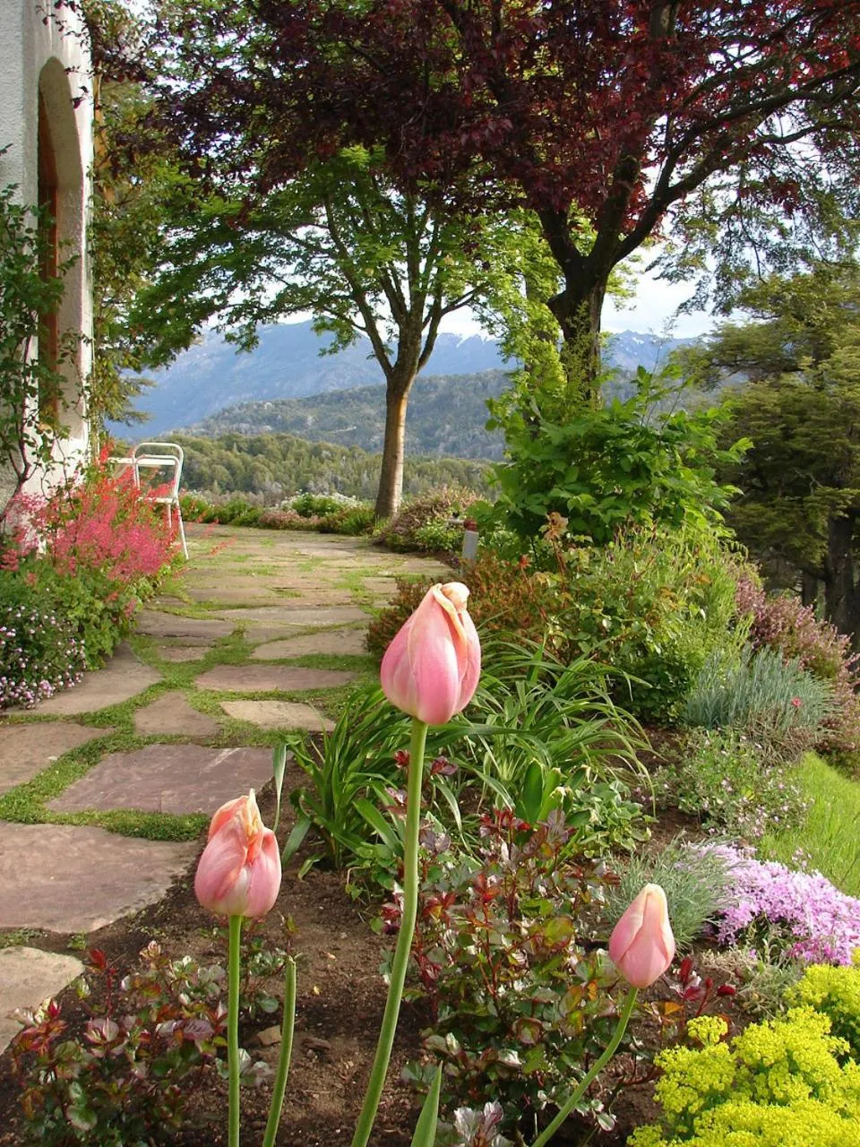 Garden in Bellevue