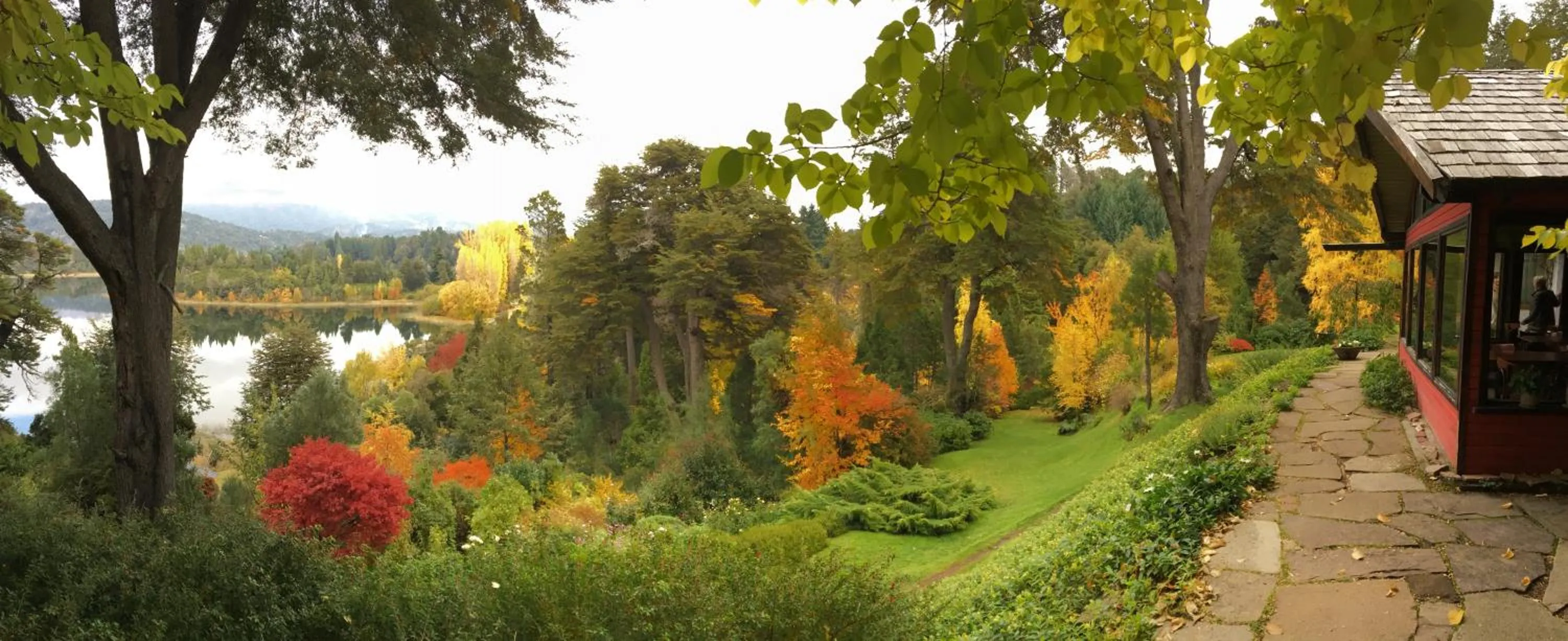 Garden in Bellevue