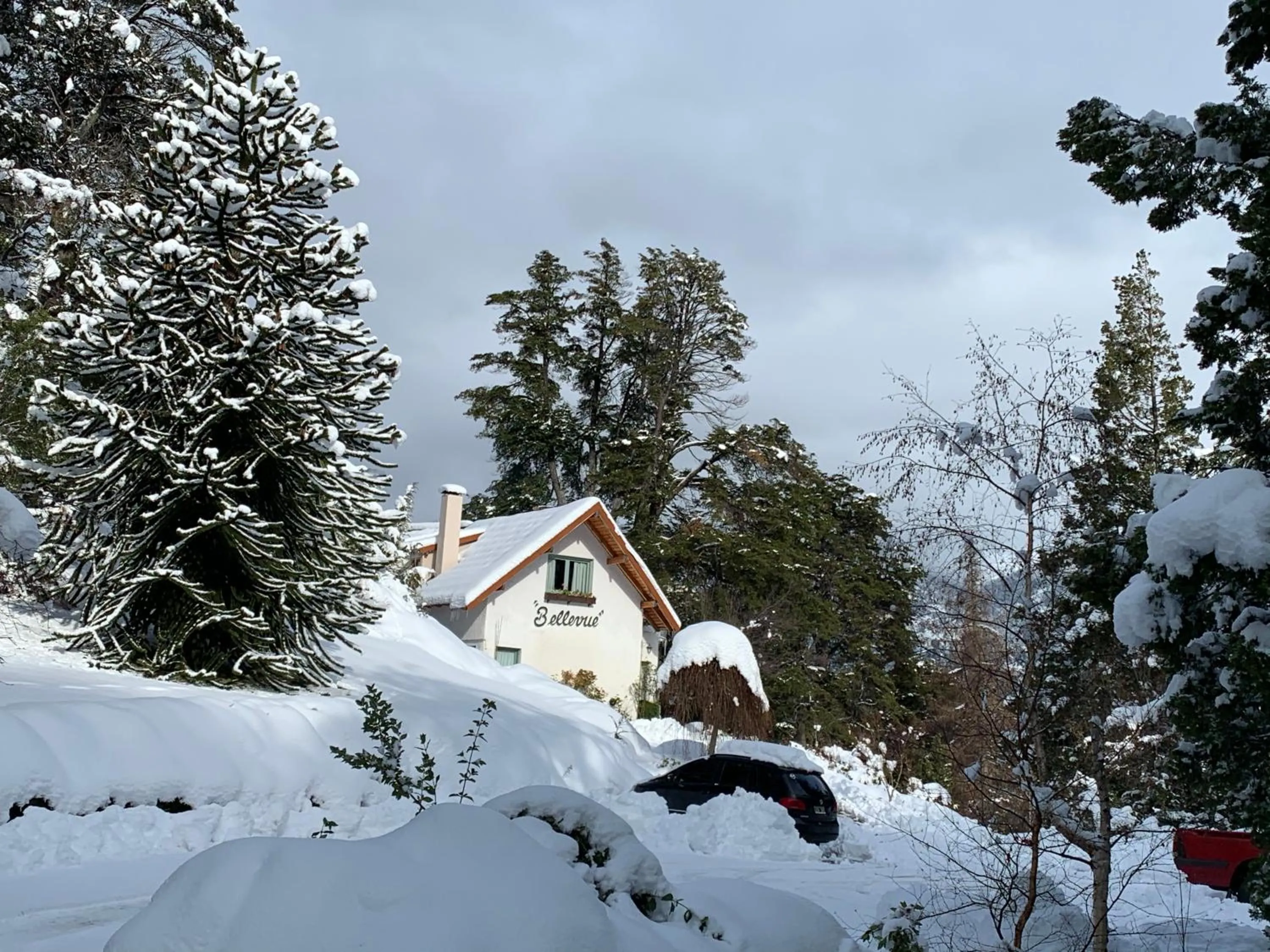 Winter in Bellevue