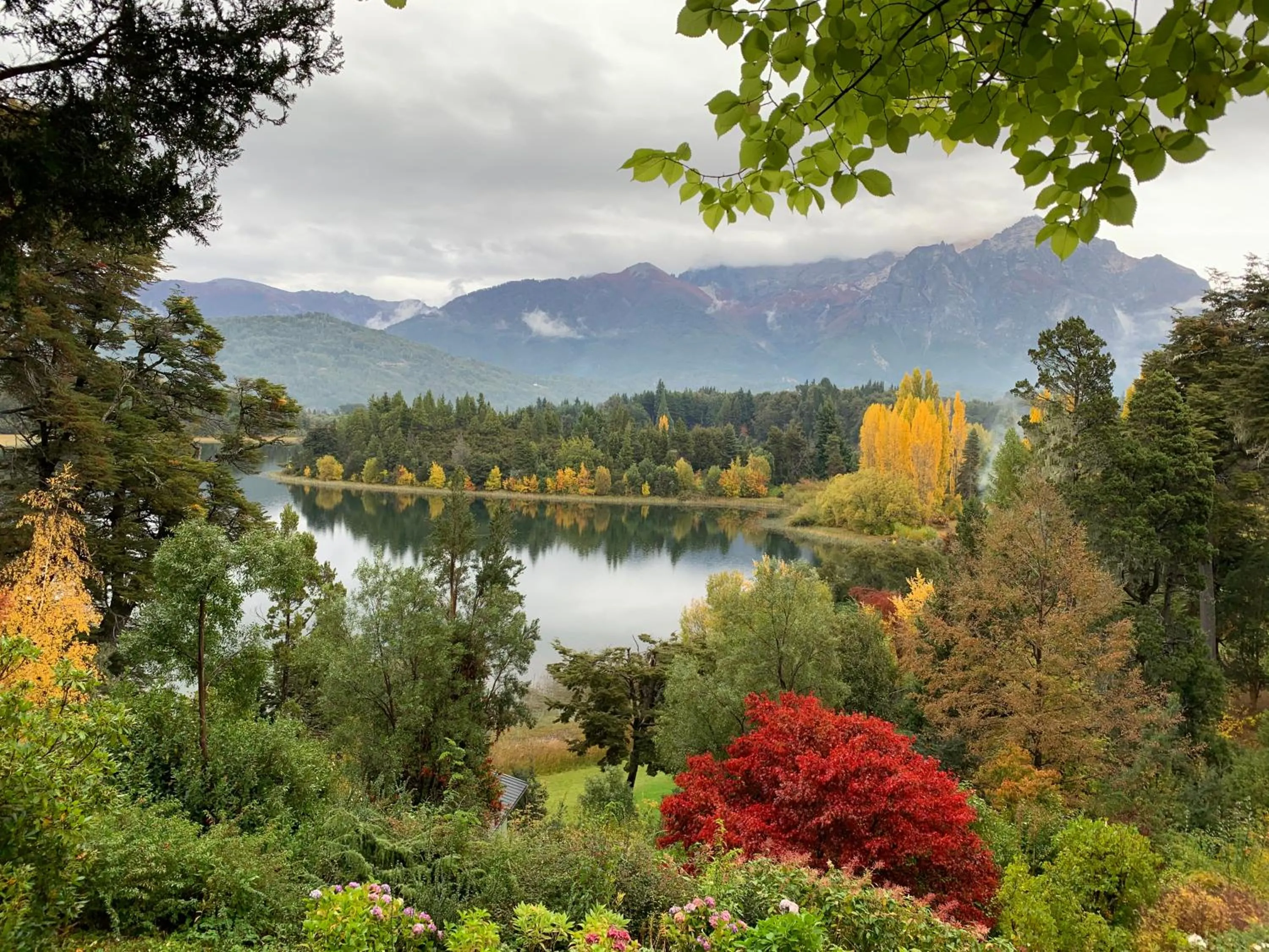 Bellevue