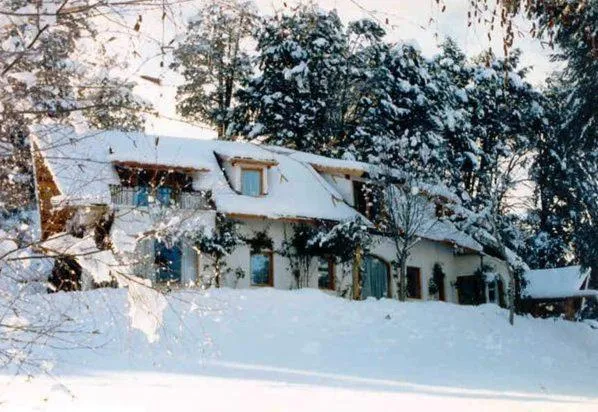 Property building in Bellevue