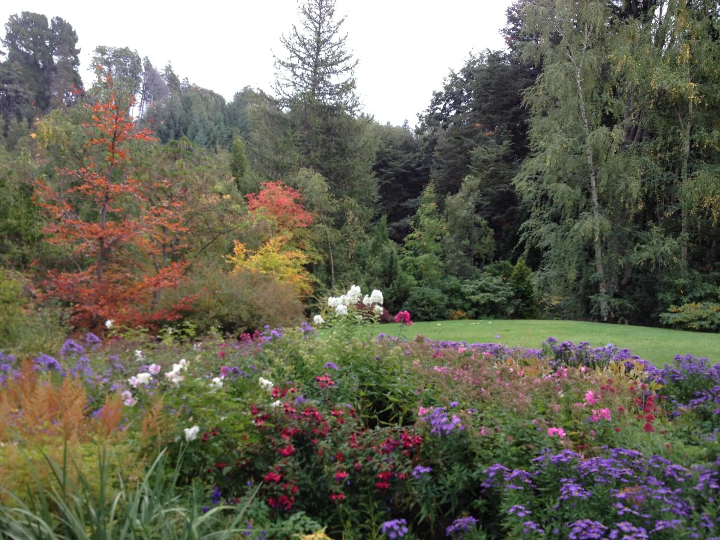 Garden in Bellevue
