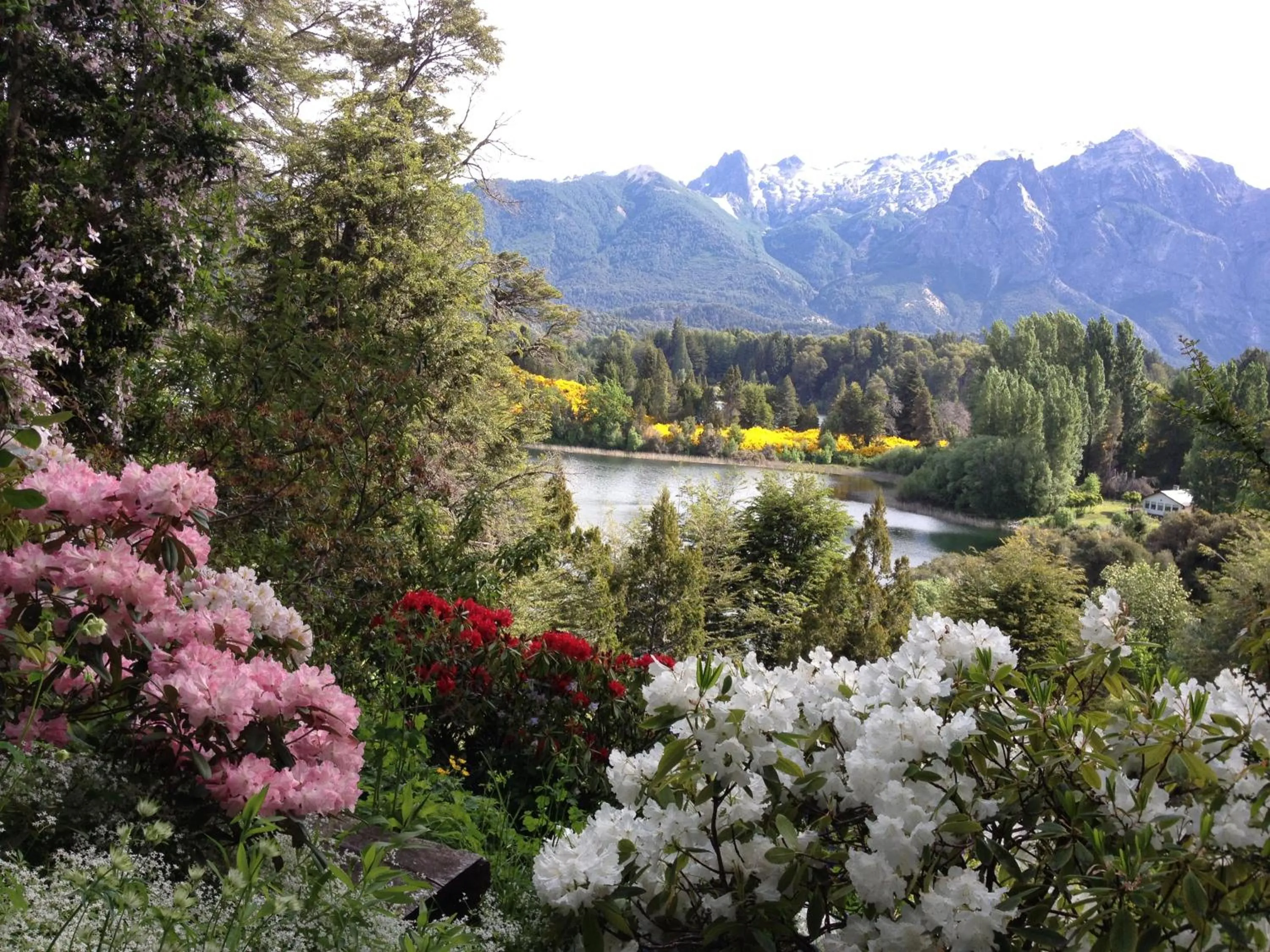 Mountain view in Bellevue