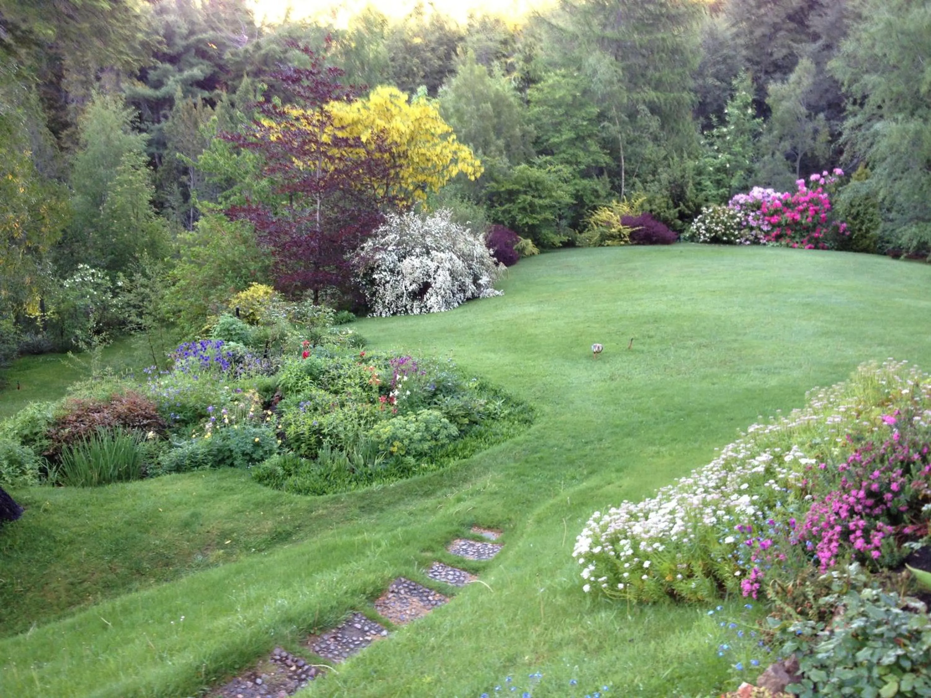 Garden in Bellevue