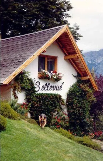 Property building in Bellevue