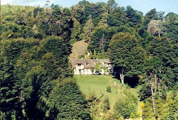 Property building in Bellevue