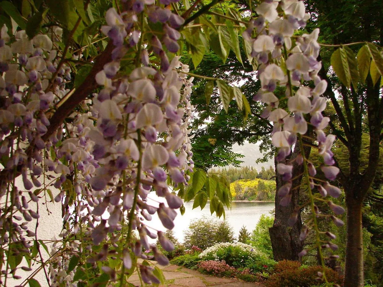 Garden in Bellevue