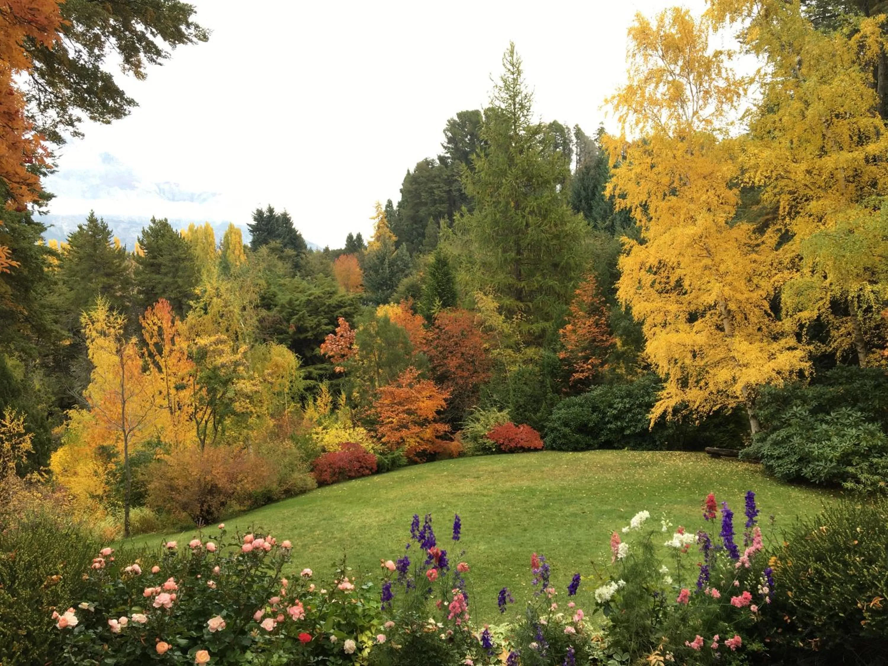 Garden in Bellevue