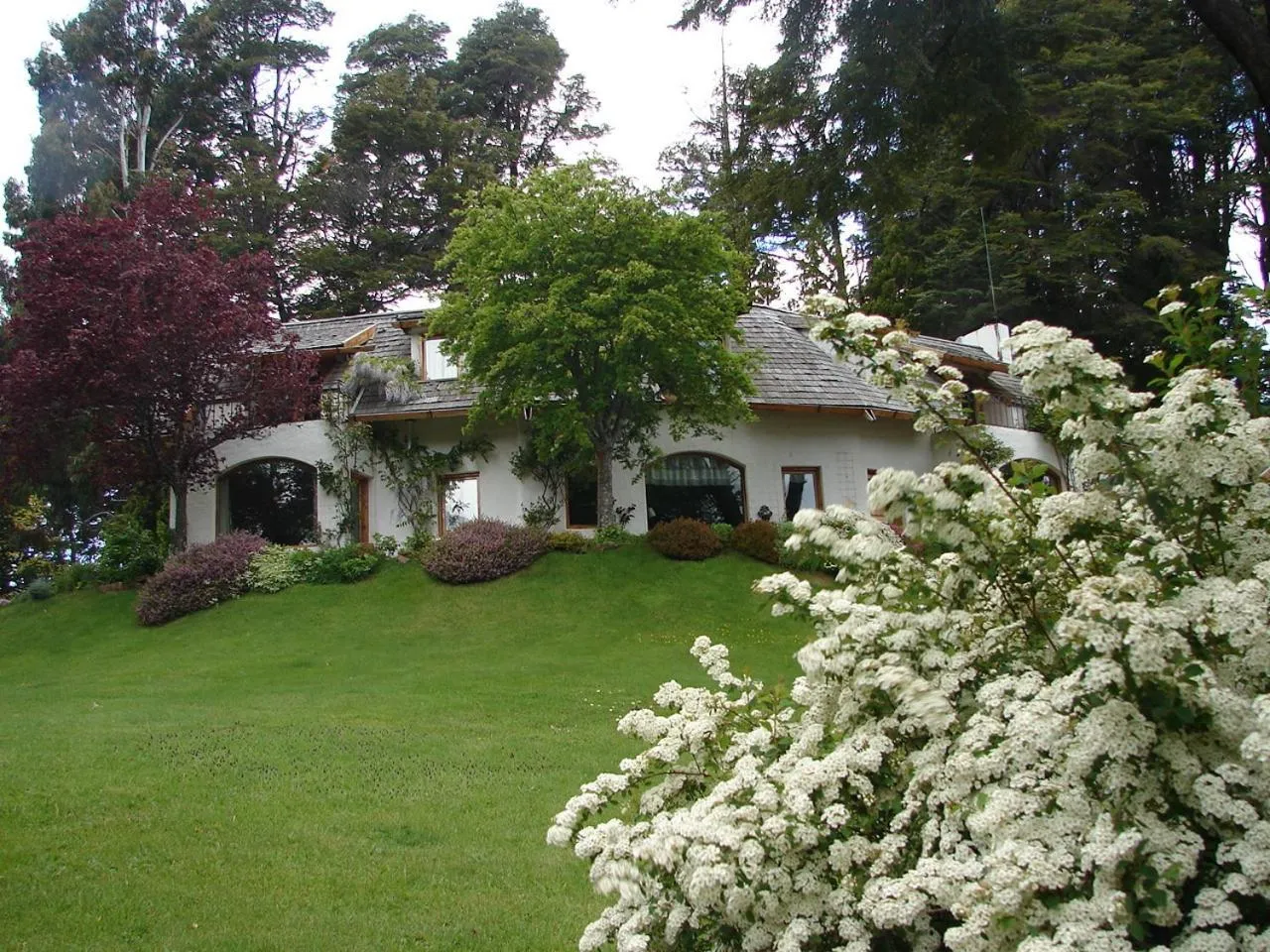 Property building in Bellevue