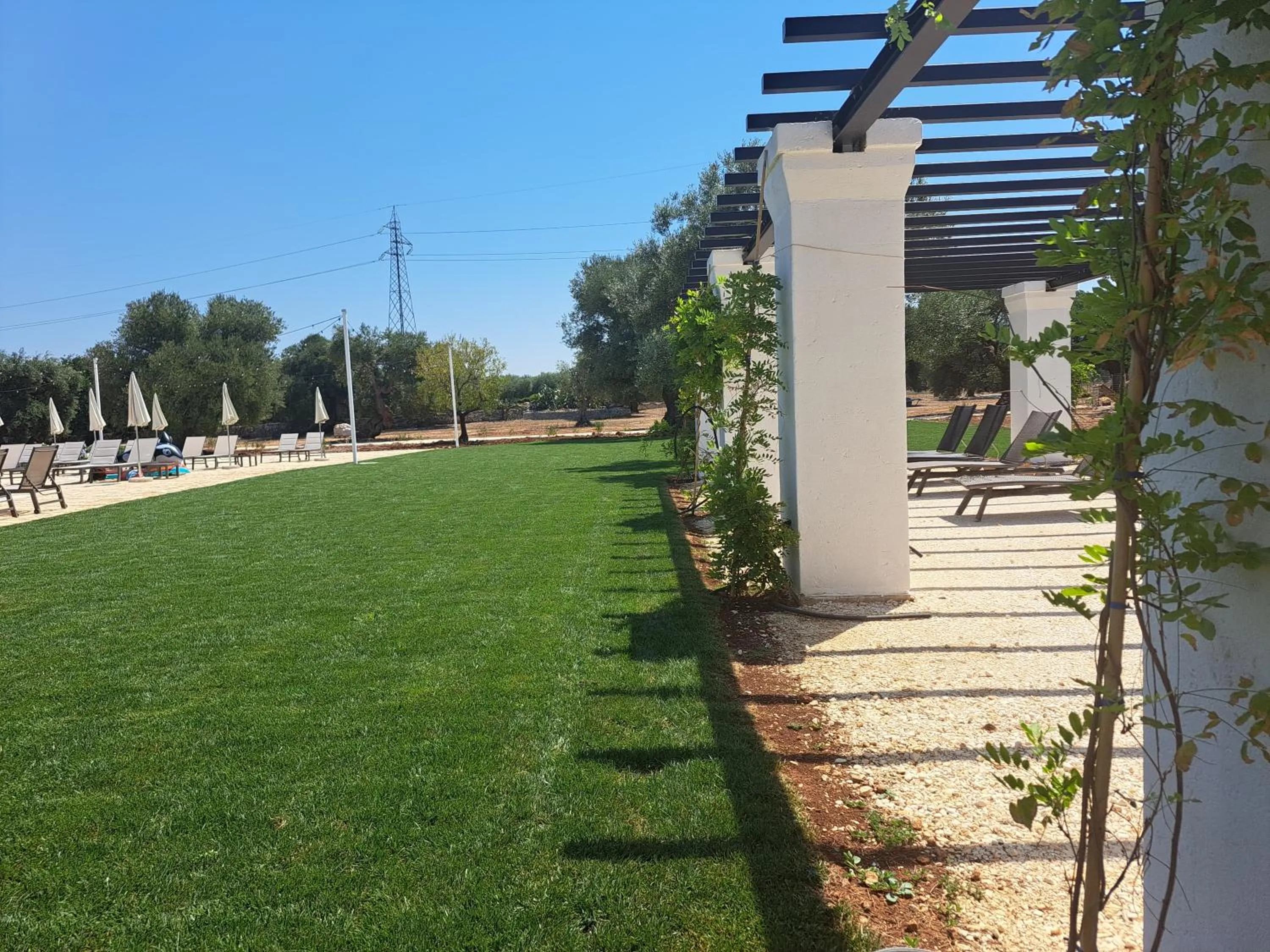 Swimming pool in Agriturismo Tenuta Chianchizza