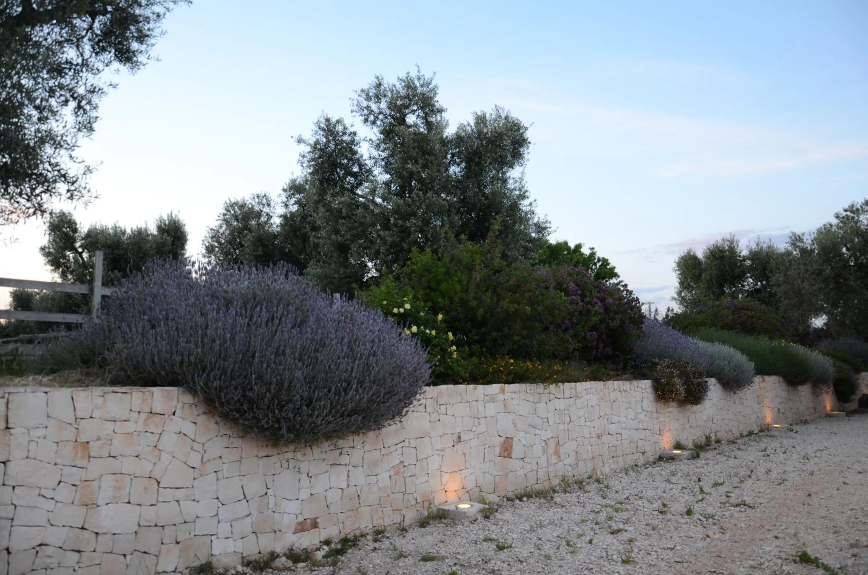 Garden in Agriturismo Tenuta Chianchizza