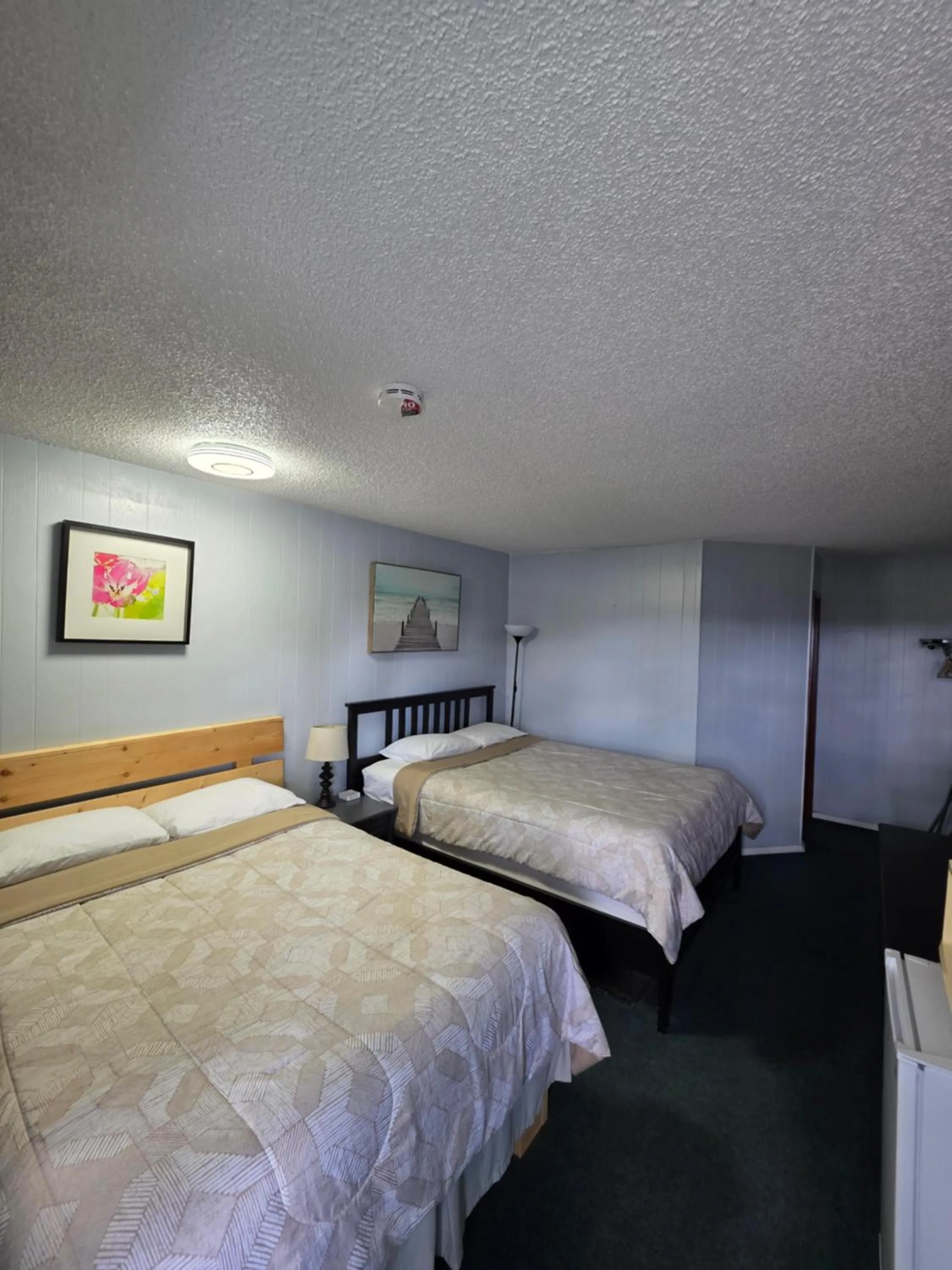 Bed in Bio Vista Motel