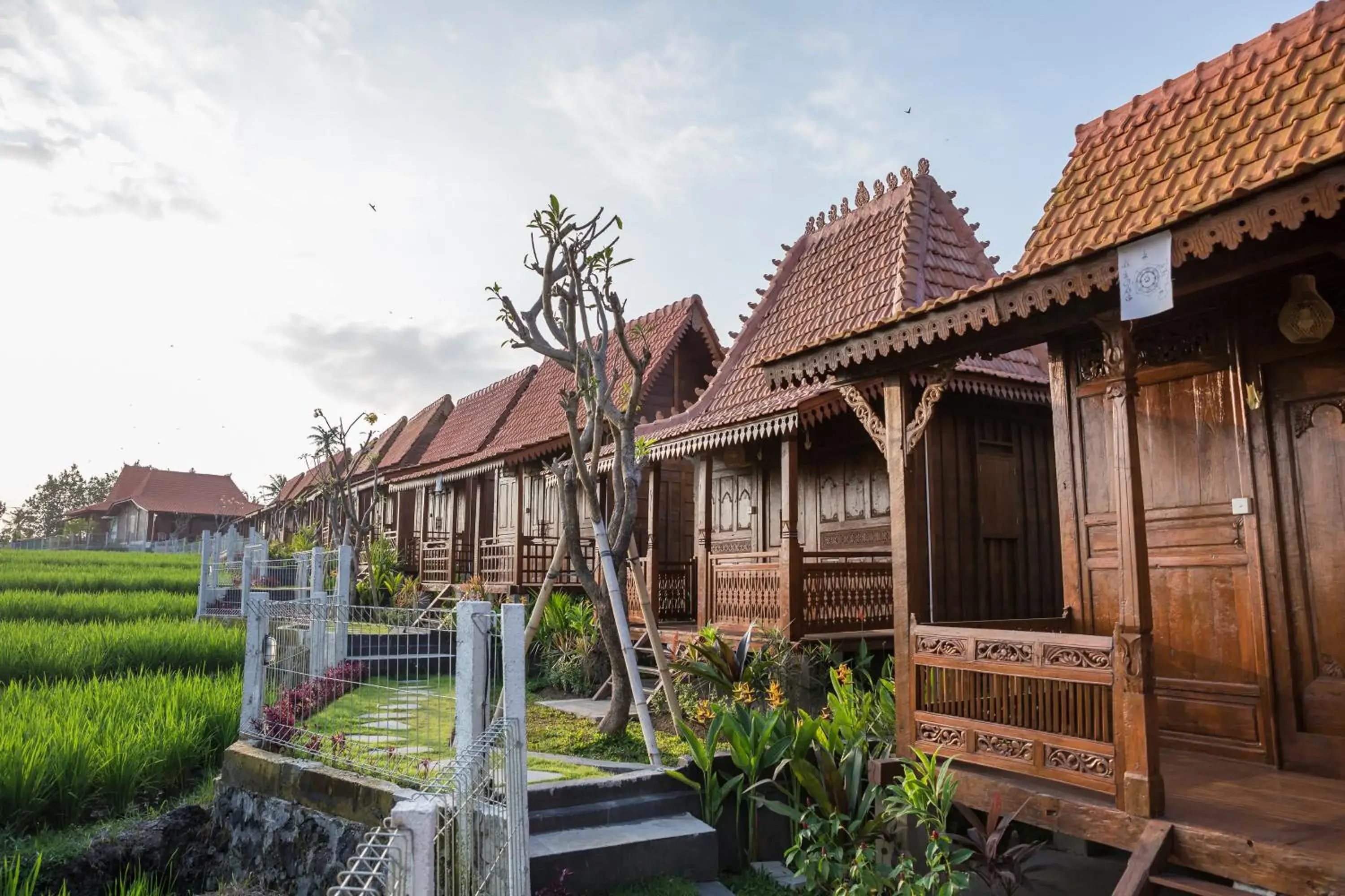 Property building in Victory Munggu Property building in Victory Munggu