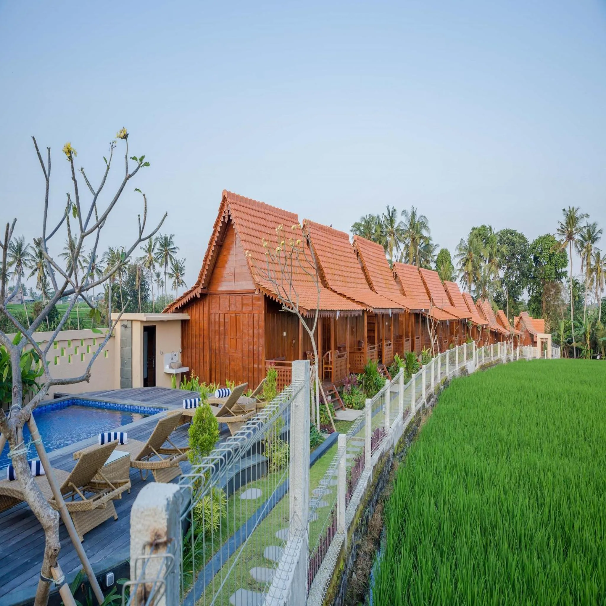 Property building in Victory Munggu