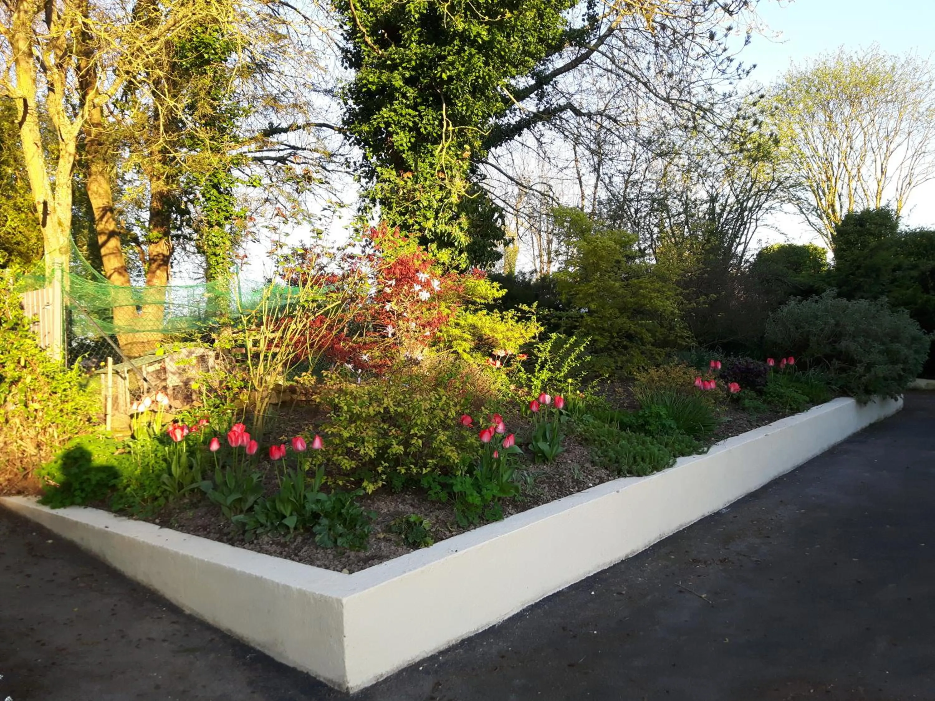 Garden in L'Anctovillière