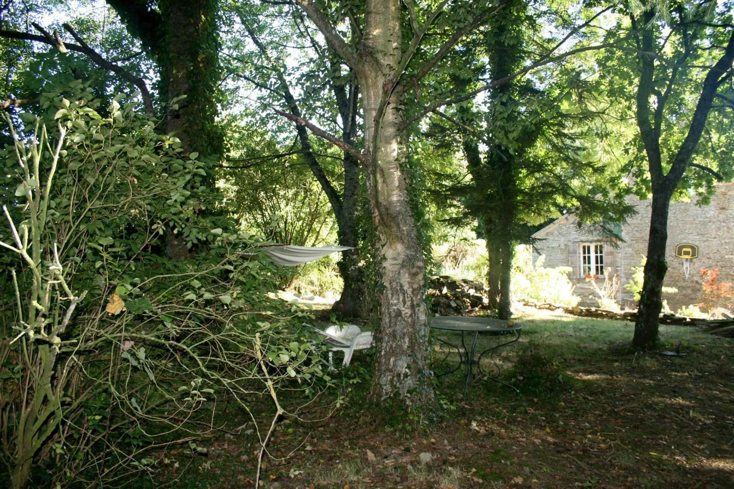 Garden in L'Anctovillière