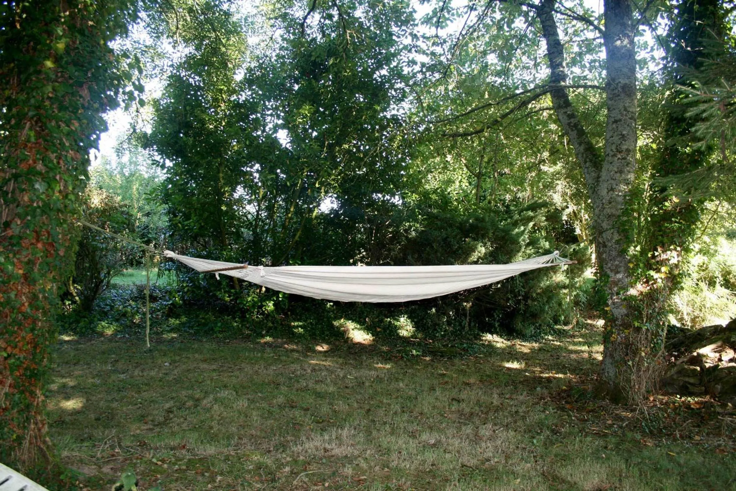 Garden in L'Anctovillière