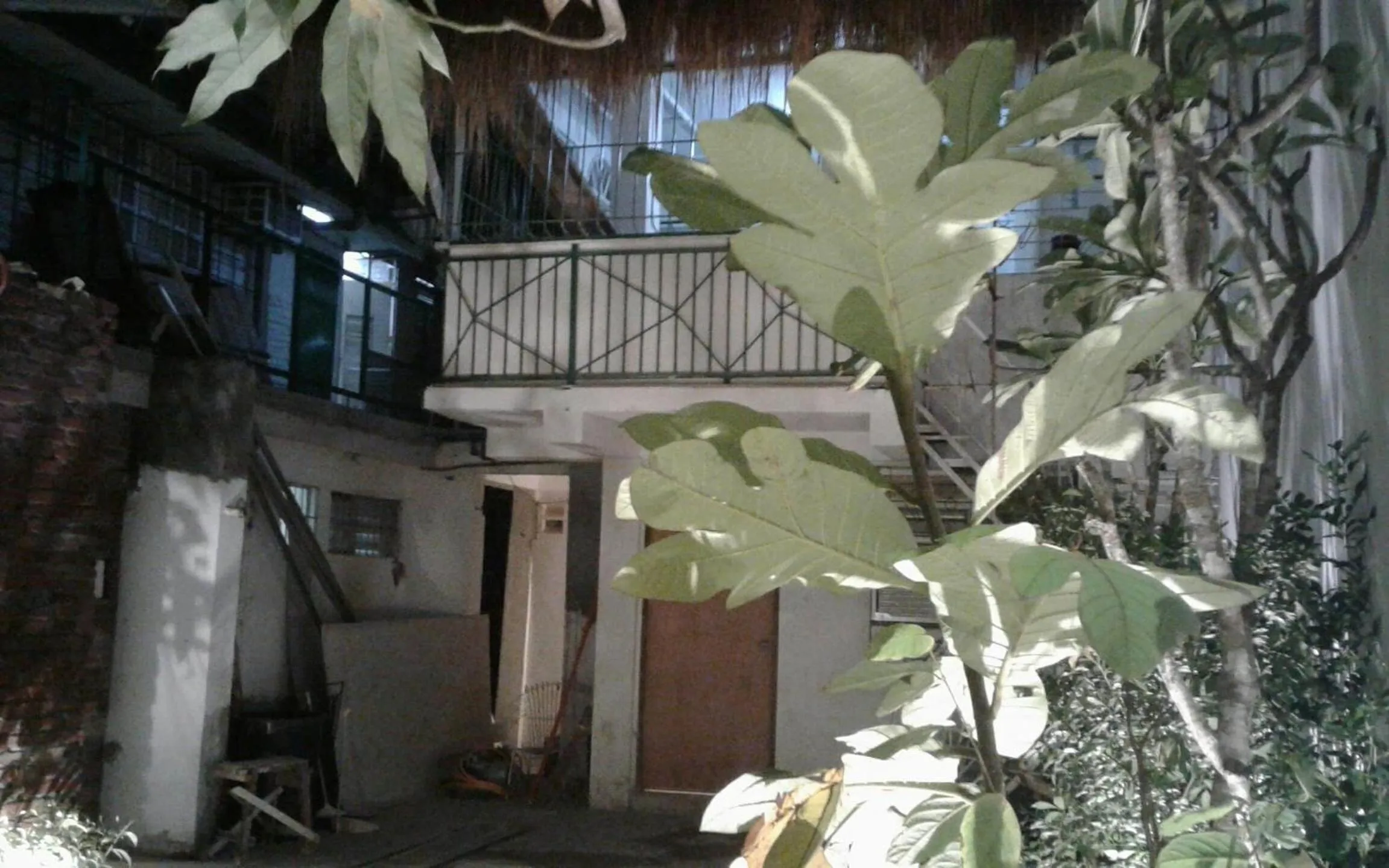 Garden in Airport Hostel Manila