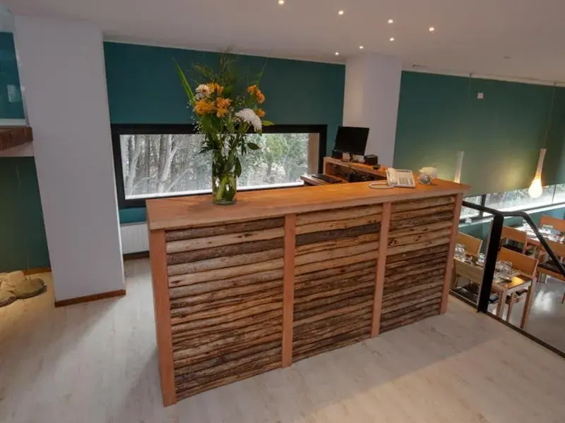 Lobby or reception in Hotel Alto Traful Lobby or reception in Hotel Alto Traful