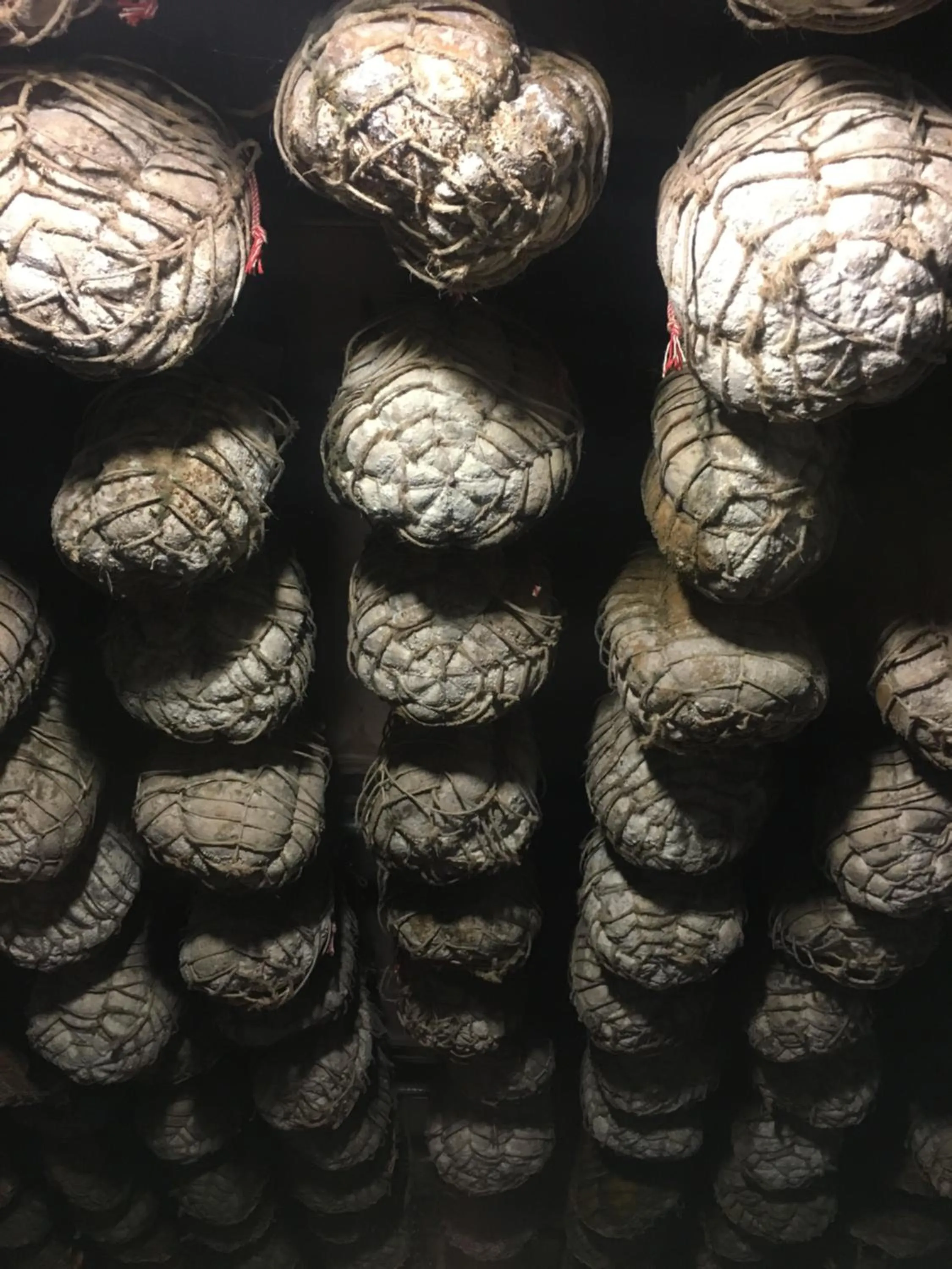 Restaurant/places to eat in Villa Orsini - A Retreat in Pisa - Food and Relax