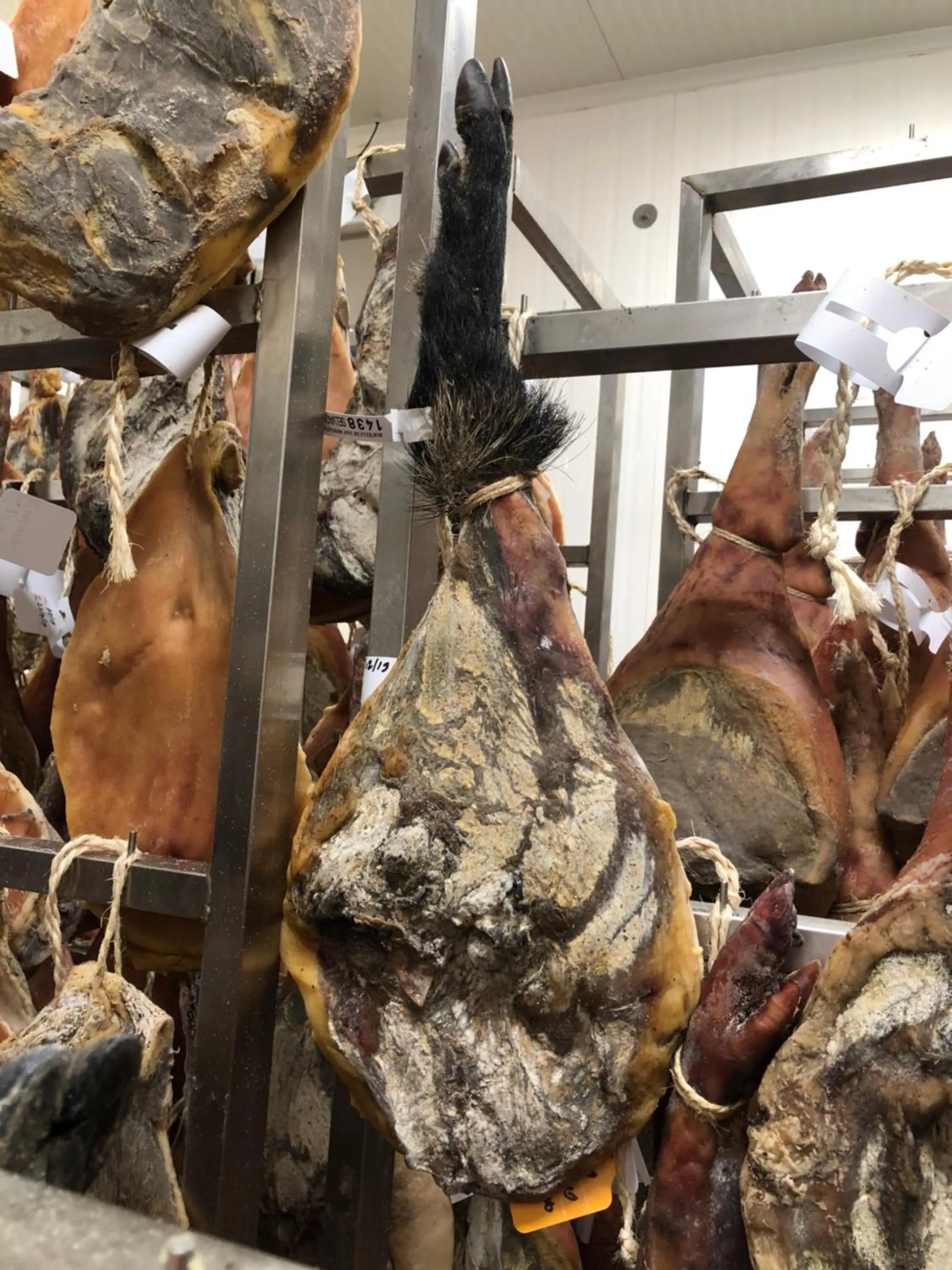 Restaurant/places to eat in Villa Orsini - A Retreat in Pisa - Food and Relax