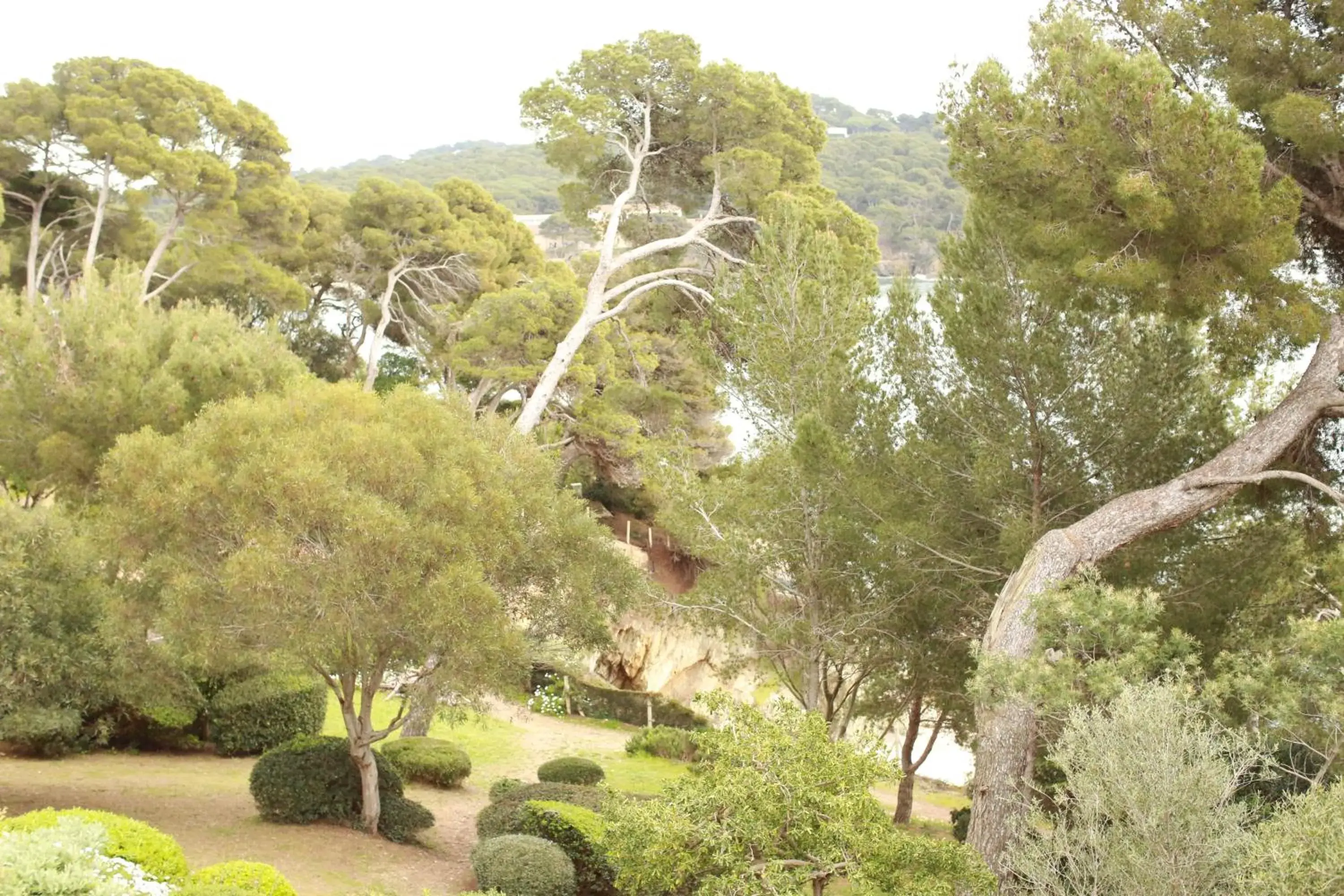 Résidence hôtelière Le Provençal à Giens - Bord de mer Résidence hôtelière Le Provençal à Giens - Bord de mer