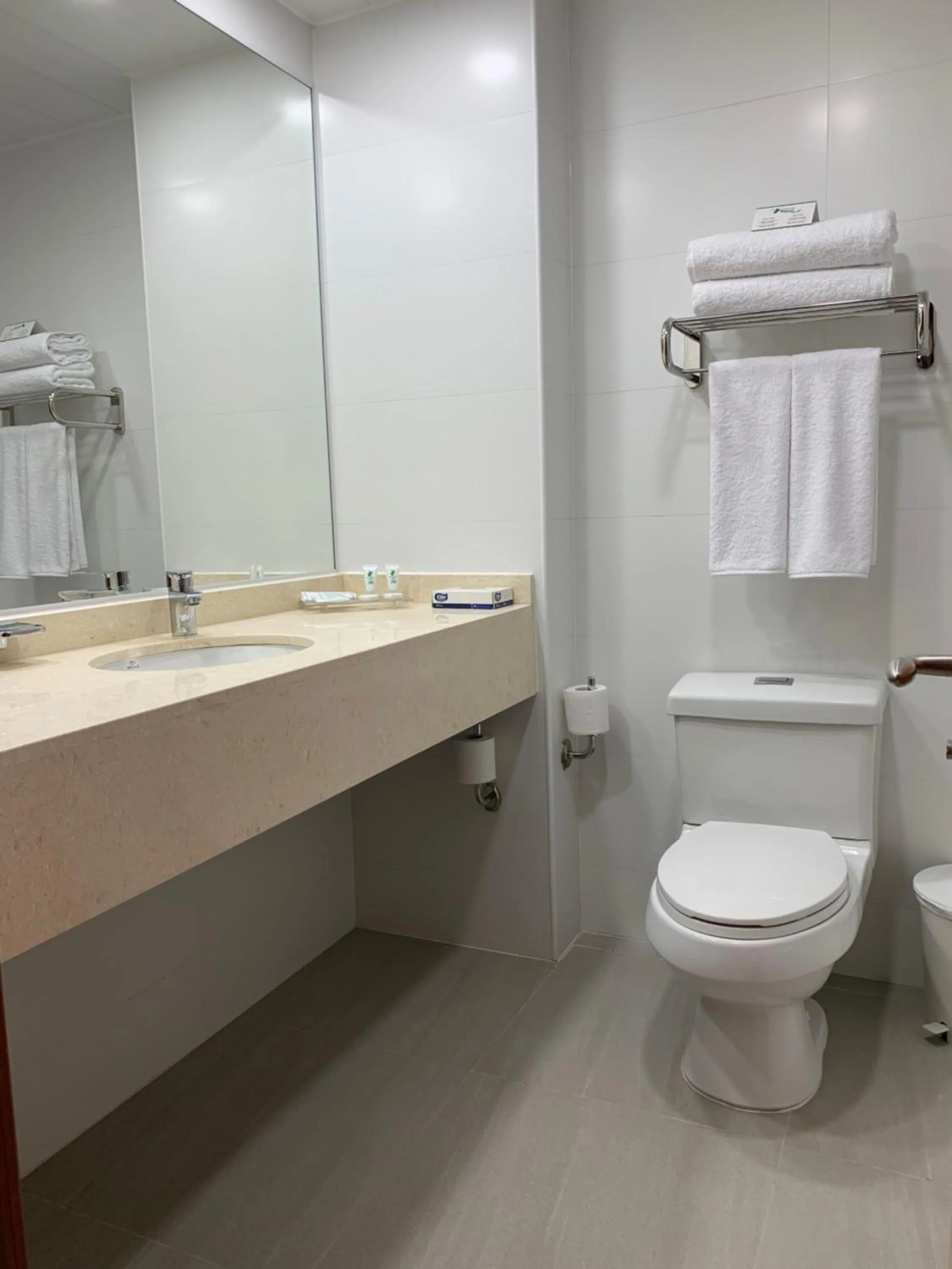 Bathroom in Hotel Diego de Almagro Temuco Express