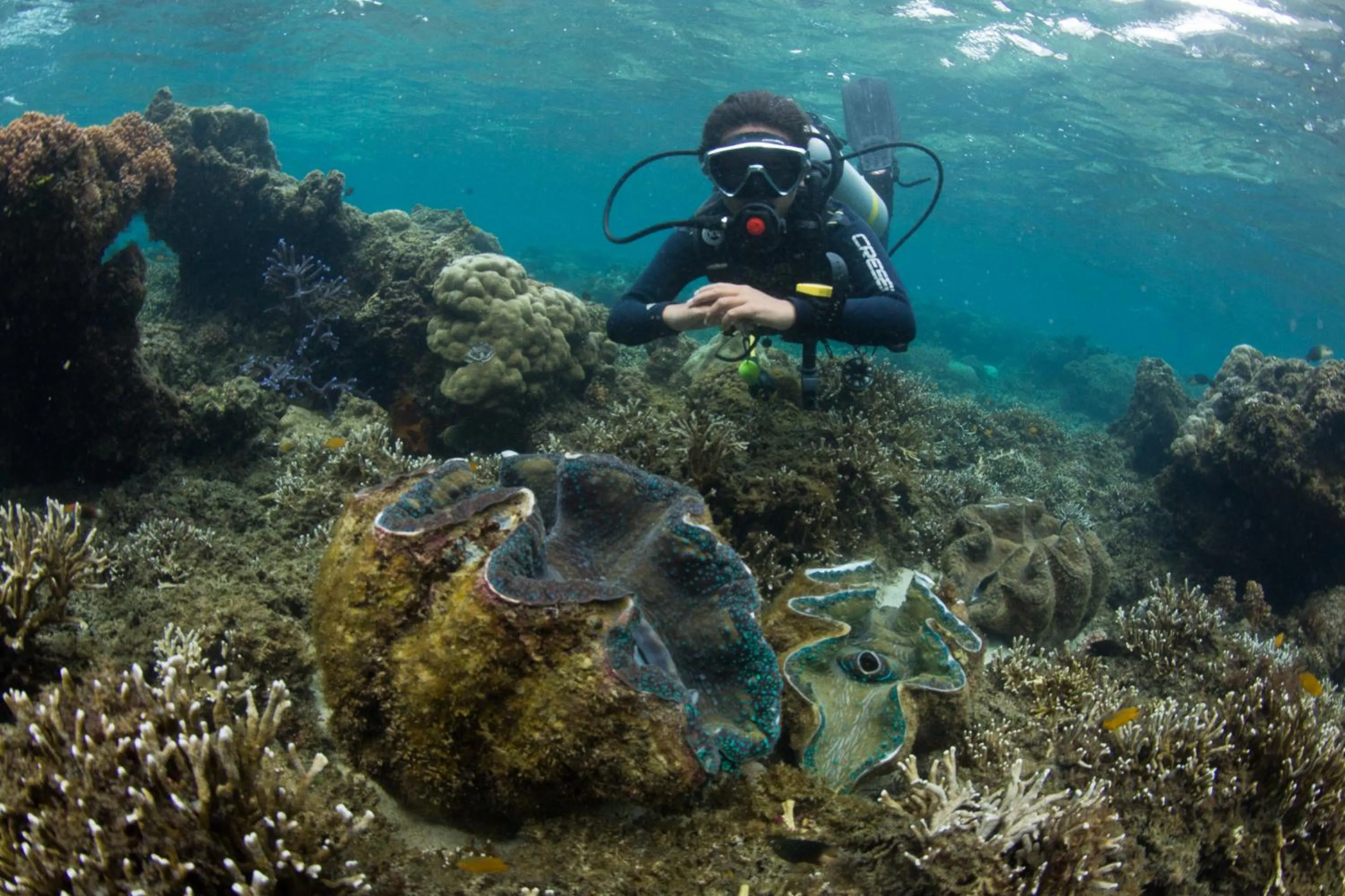 Diving in Cabagnow Seaside Resort