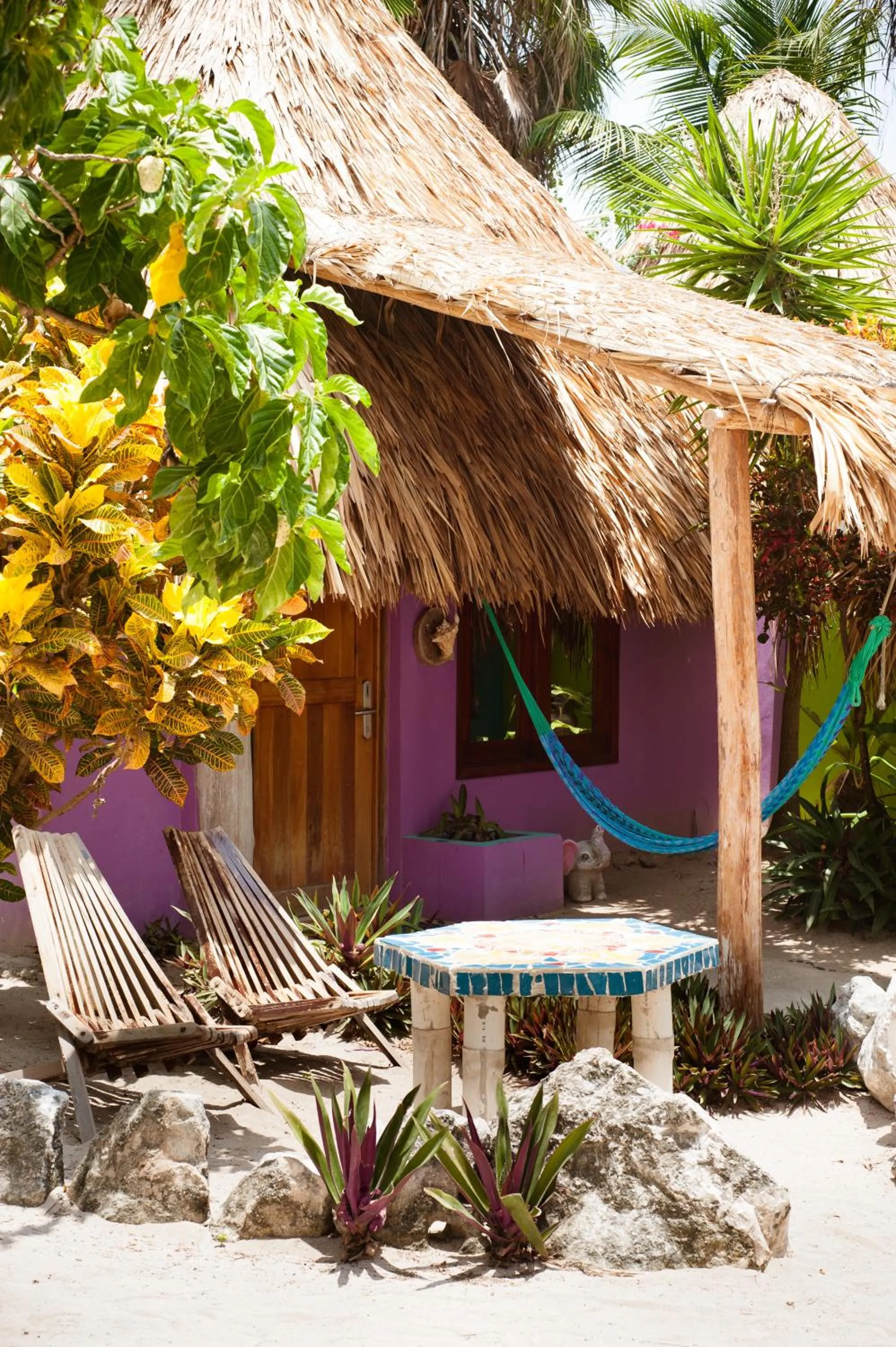 Garden in Nacional Beach Club & Bungalows