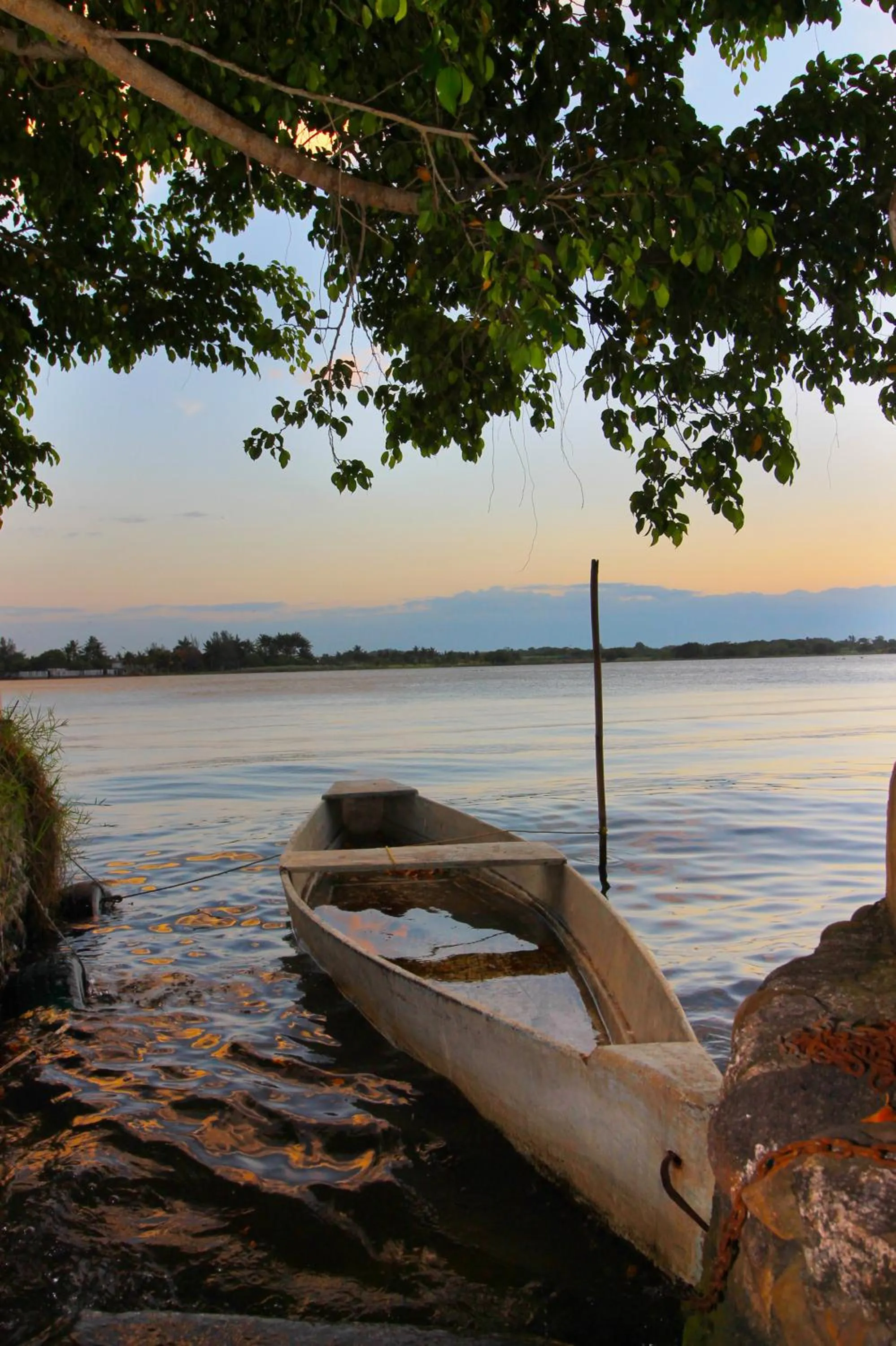Natural landscape in Hotel Gran Palmeiras