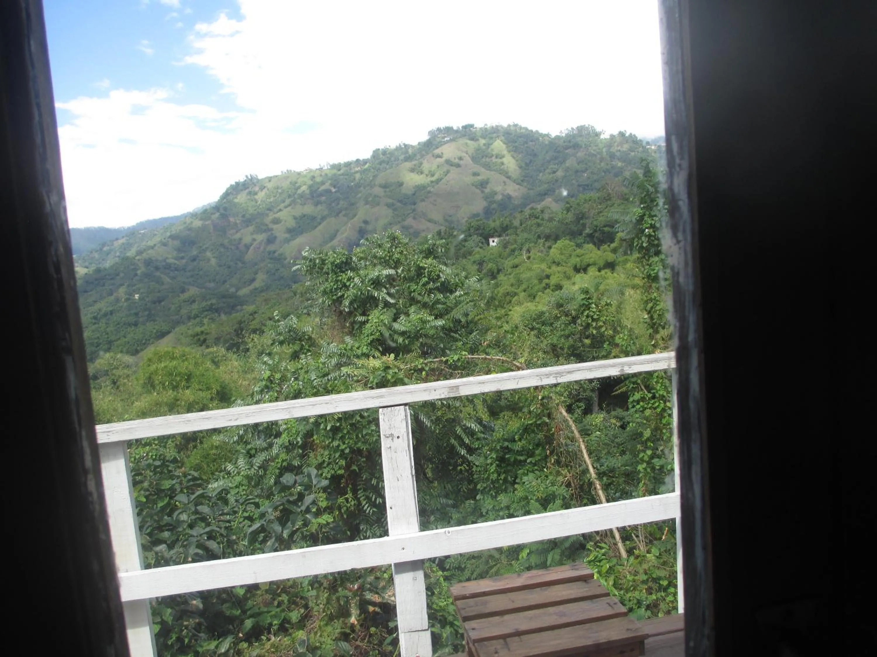 Natural landscape in Kingsworth Bed and Breakfast