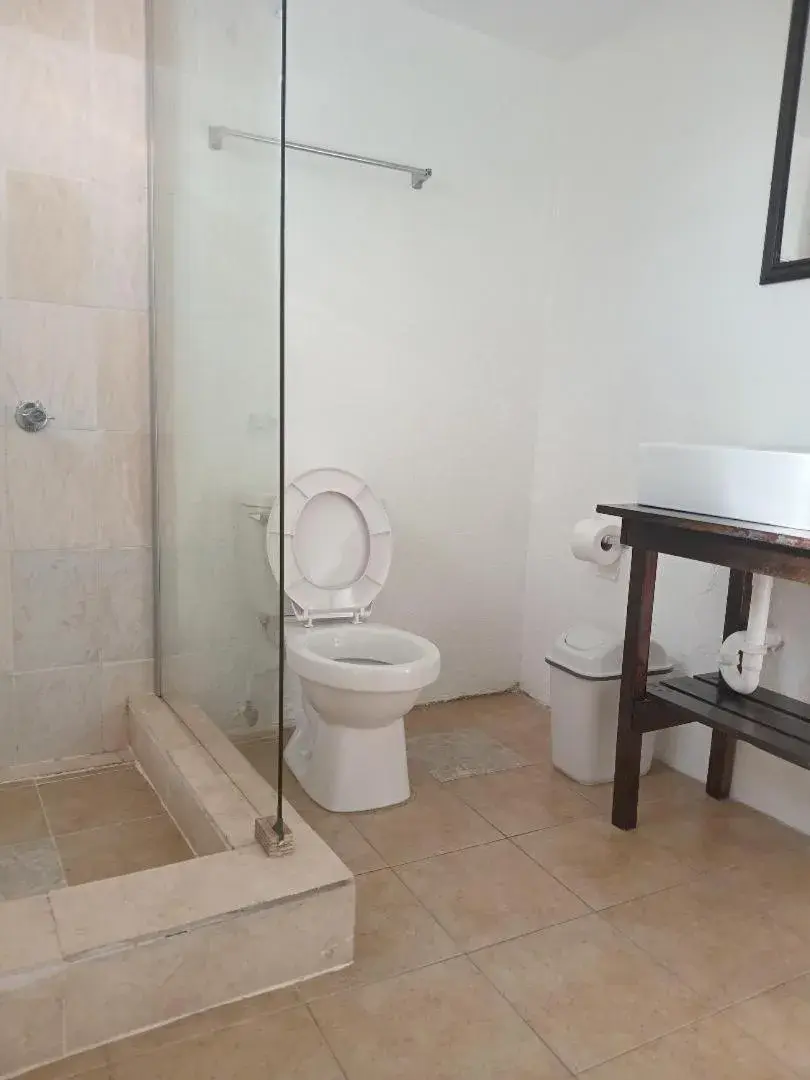 Shower in Kingsworth Bed and Breakfast Shower in Kingsworth Bed and Breakfast