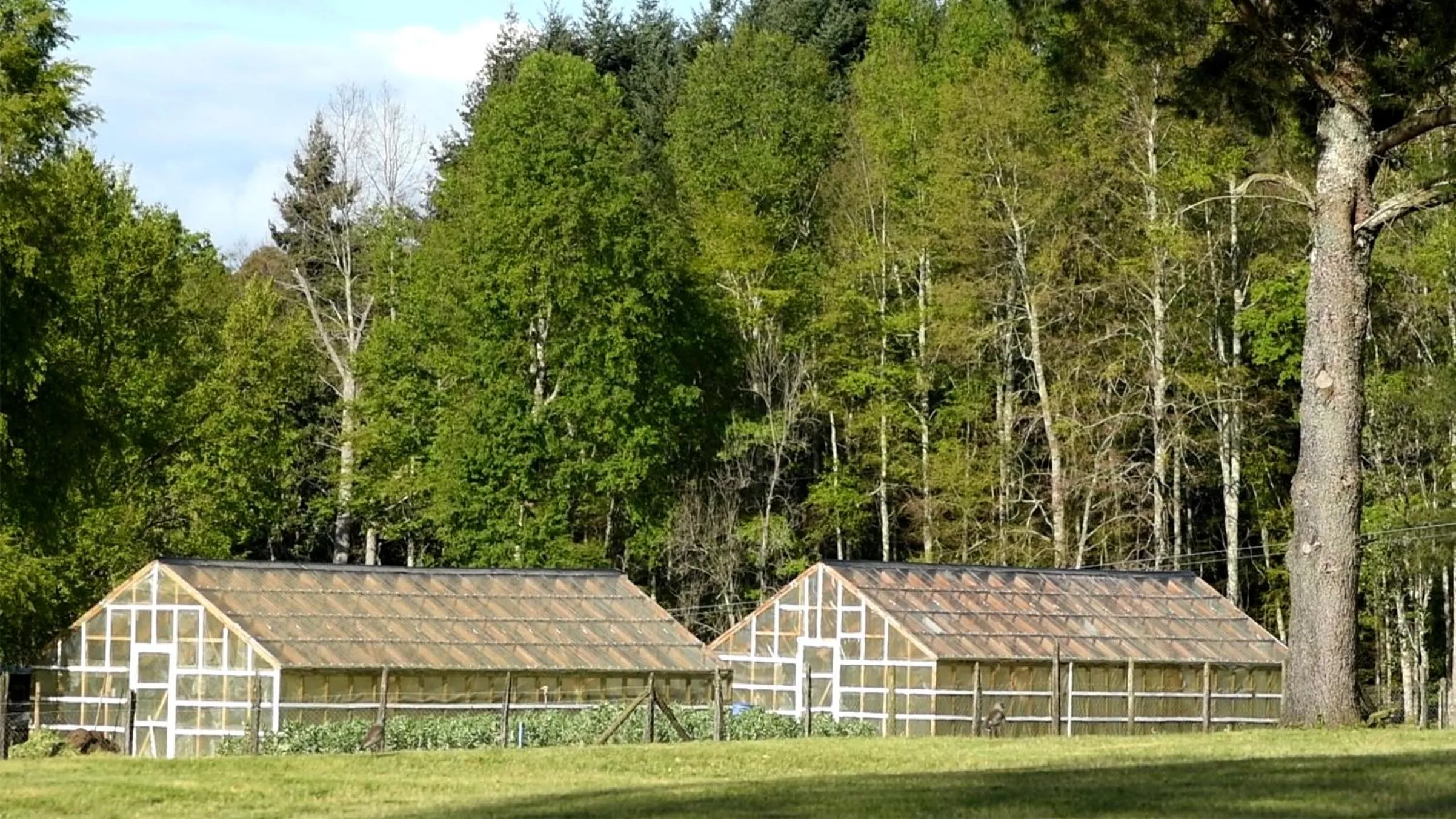 Other in Das Dorf Hotel