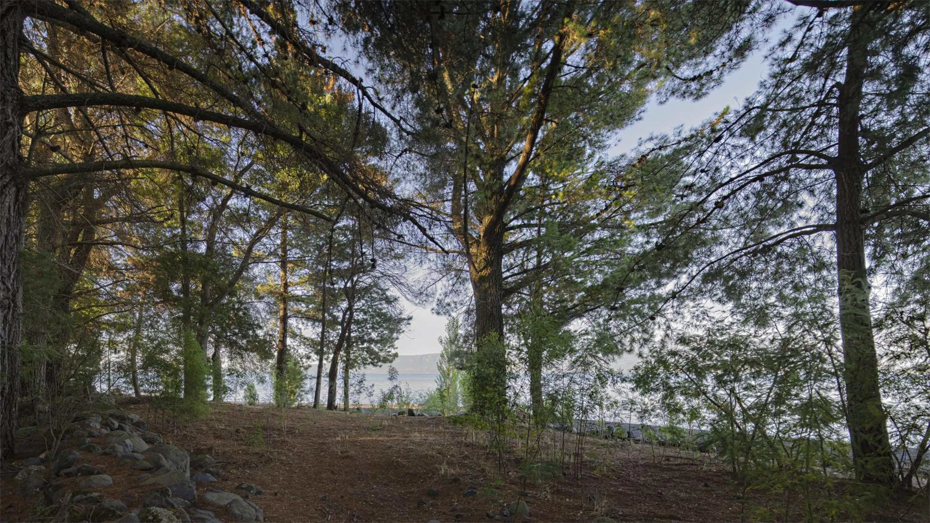 Natural landscape in Das Dorf Hotel