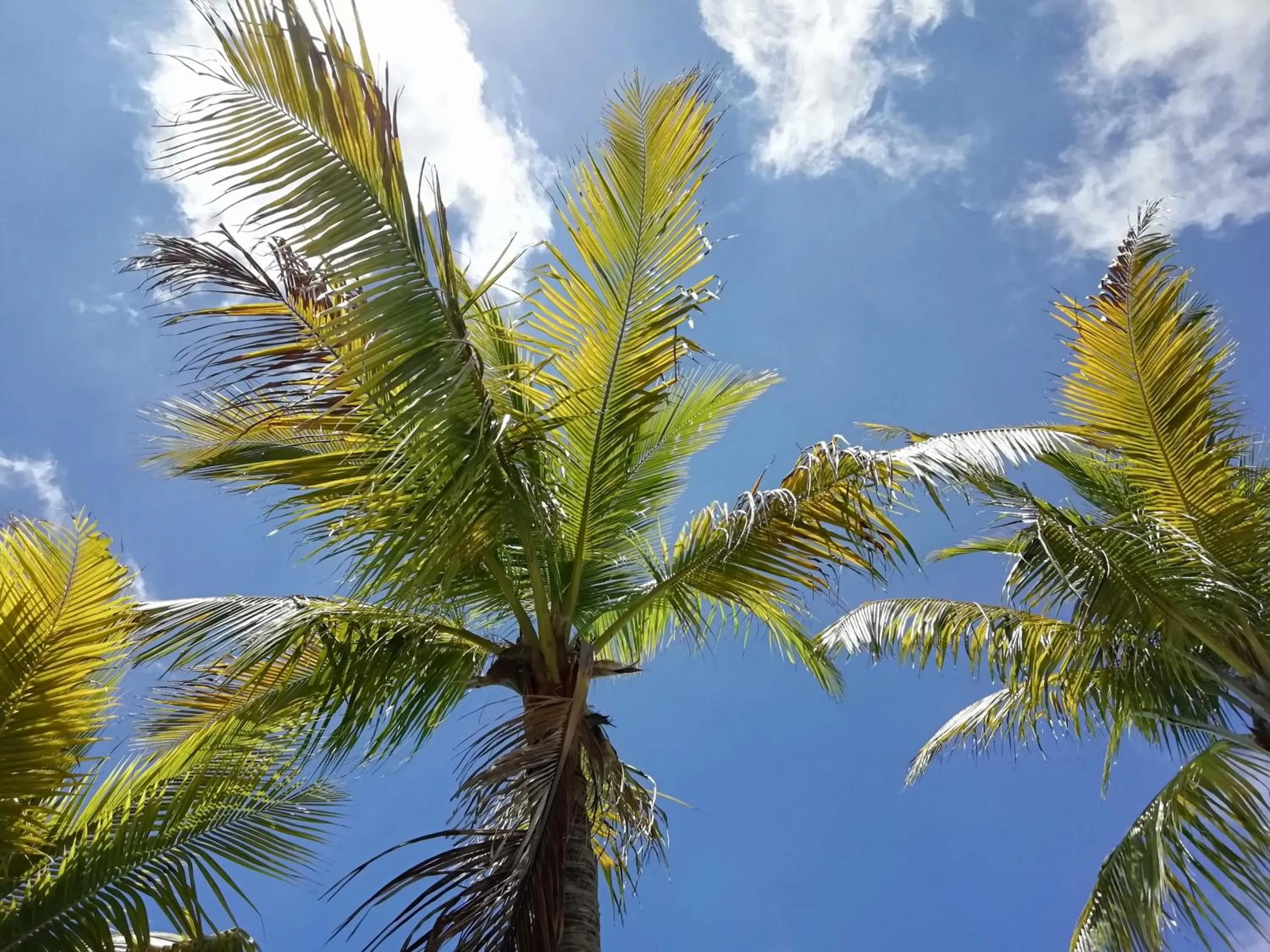 Natural landscape in Hotel Green 16