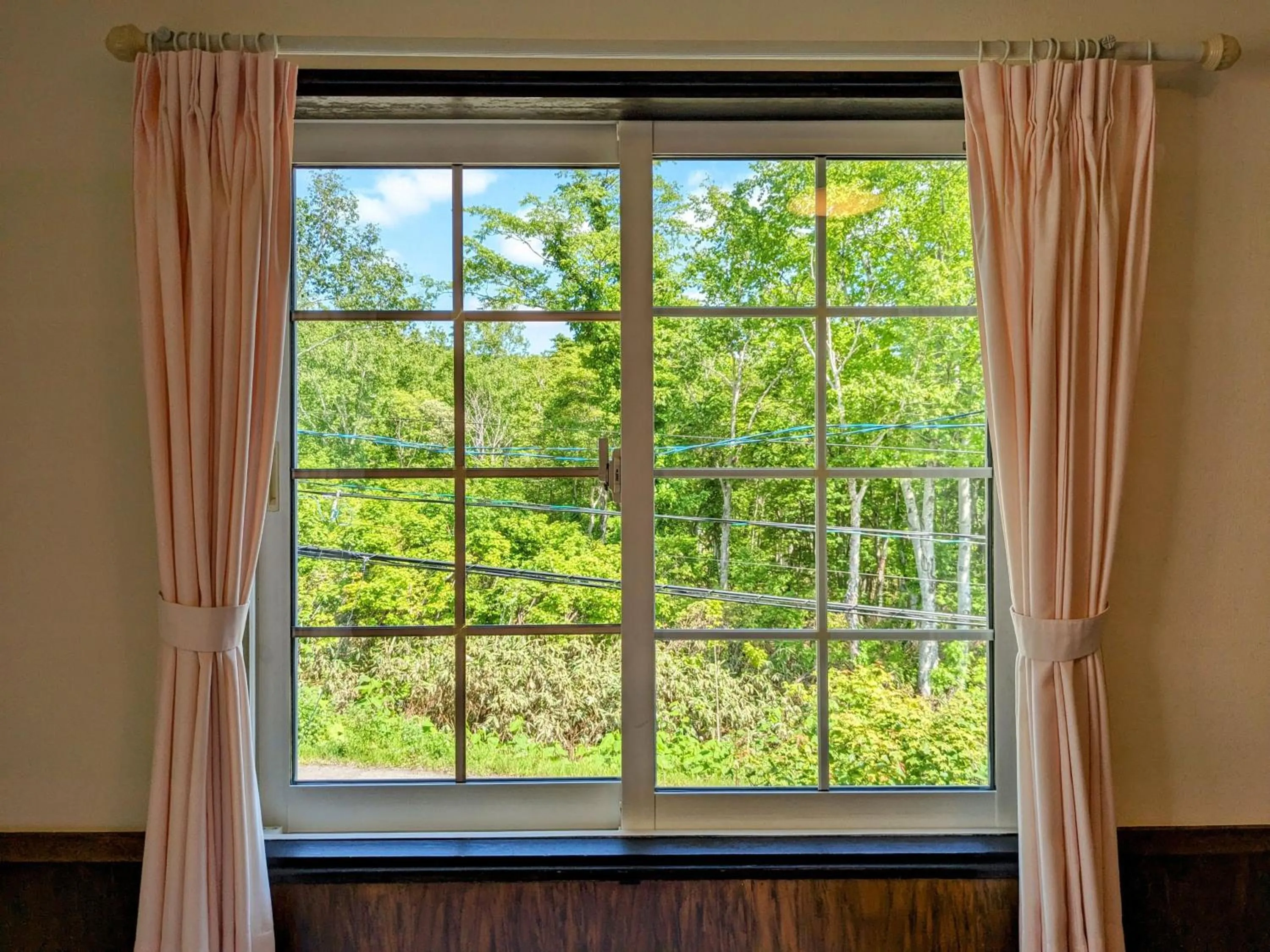 Spring in Pension Cotton Farm