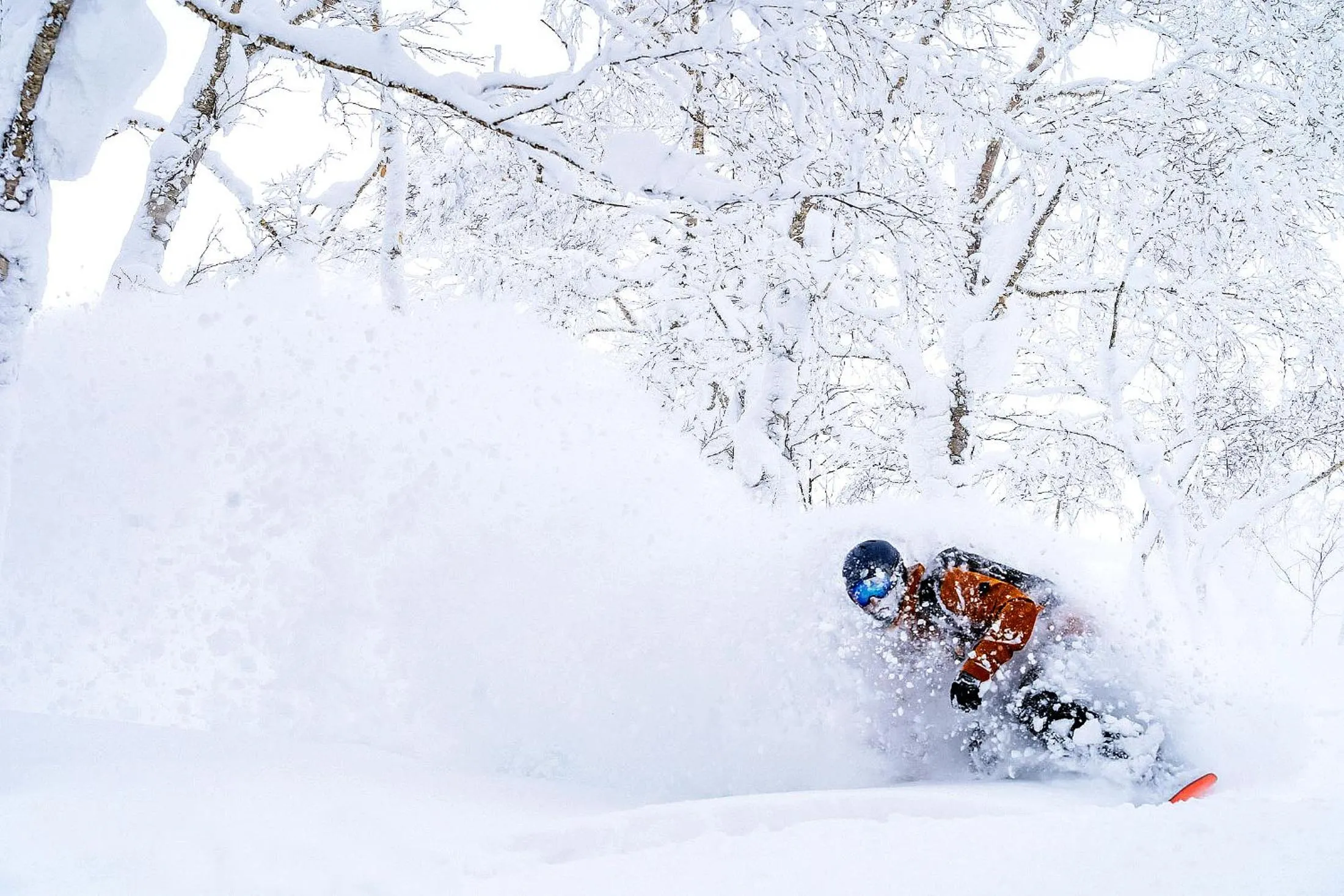 Skiing in Pension Cotton Farm