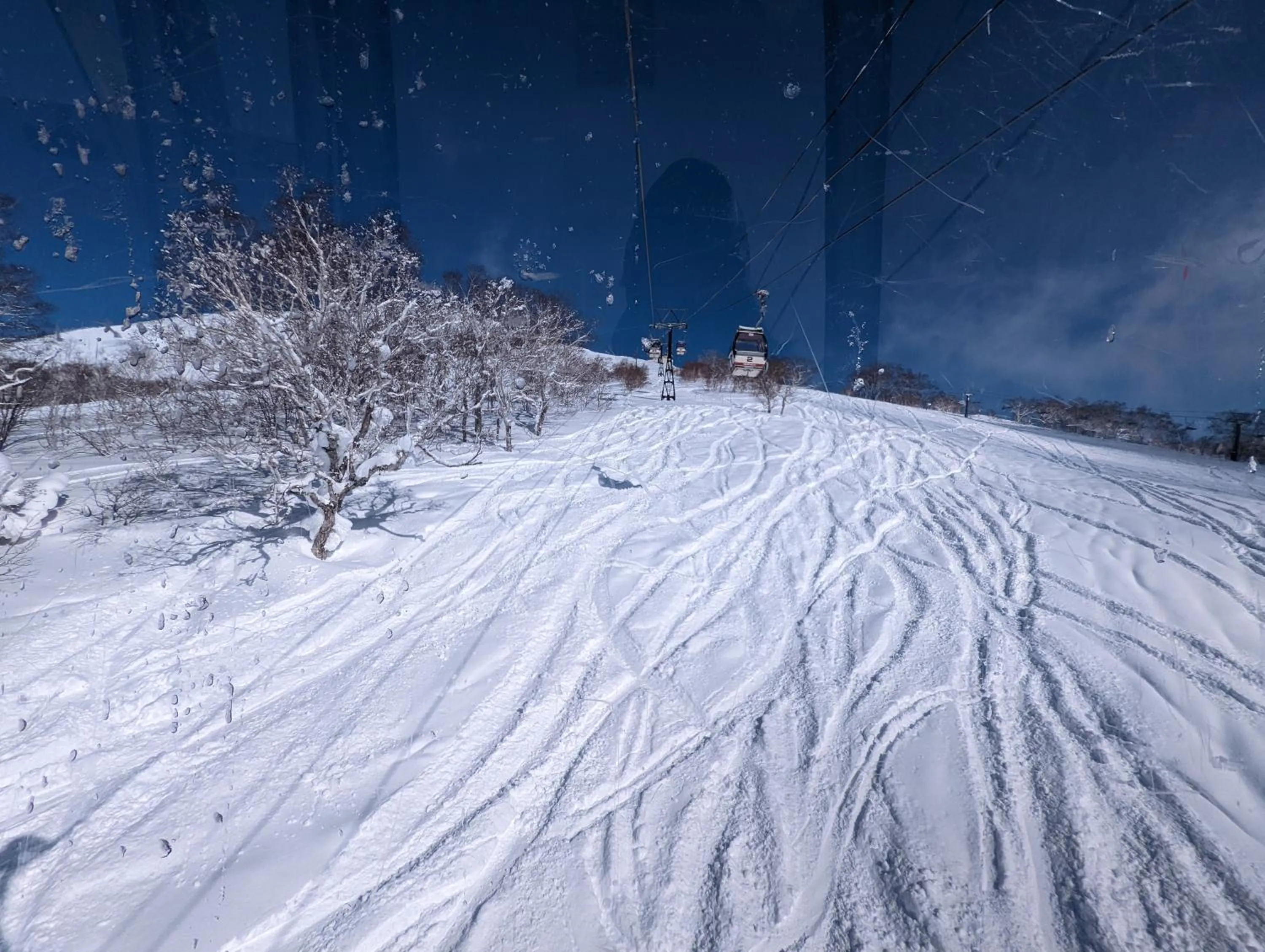 Day in Pension Cotton Farm