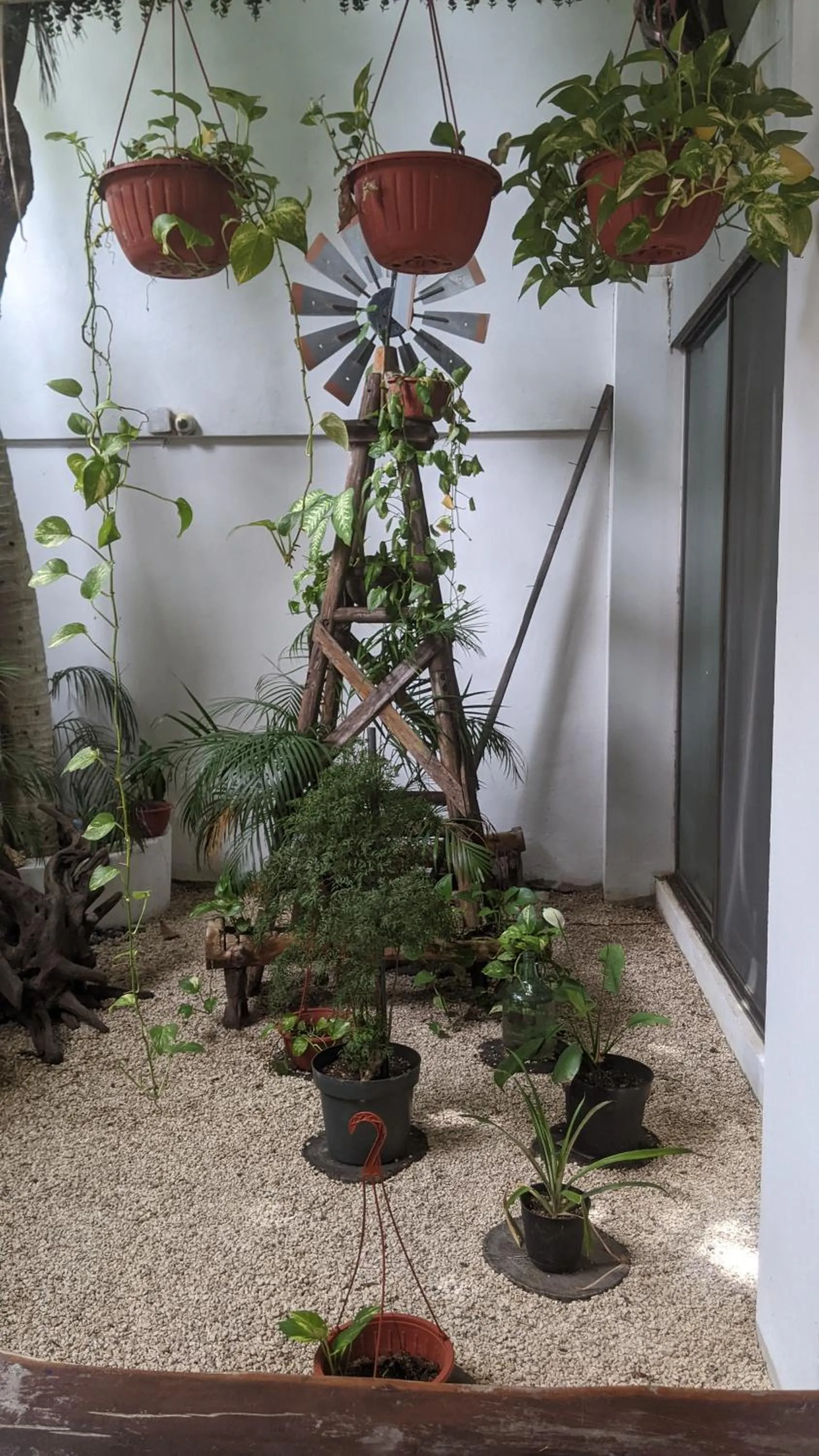 Garden in The Green Village Boutique Hotel