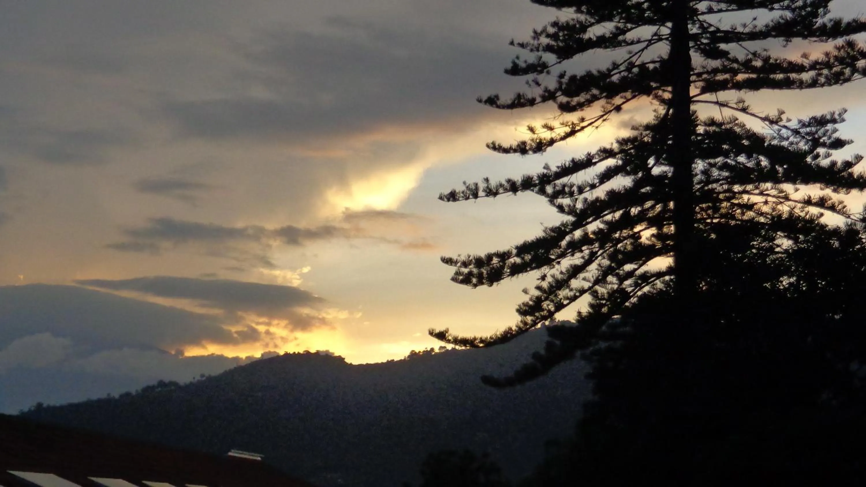 Night in Hotel Las Camelias Inn by AHS