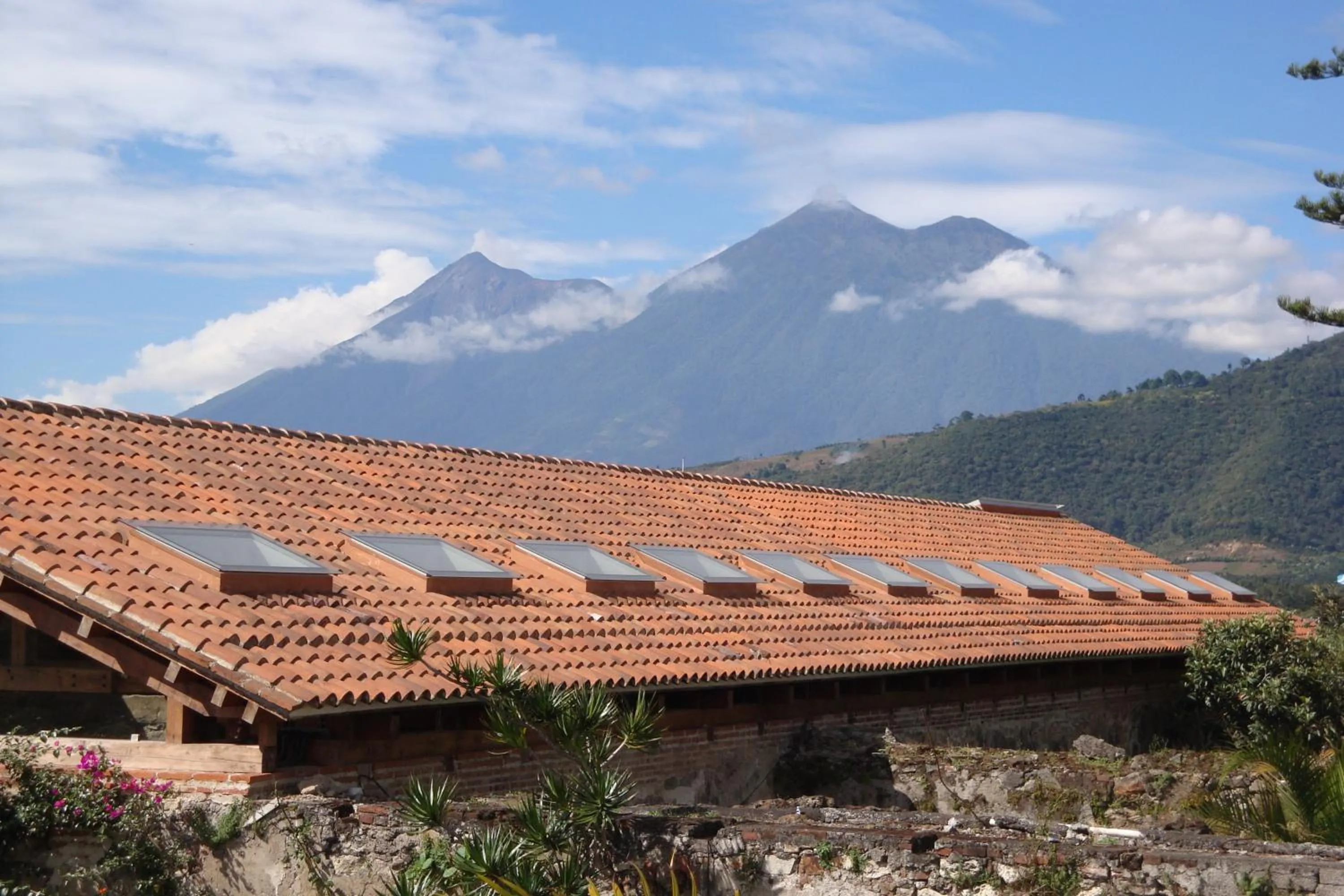Natural landscape in Hotel Las Camelias Inn by AHS