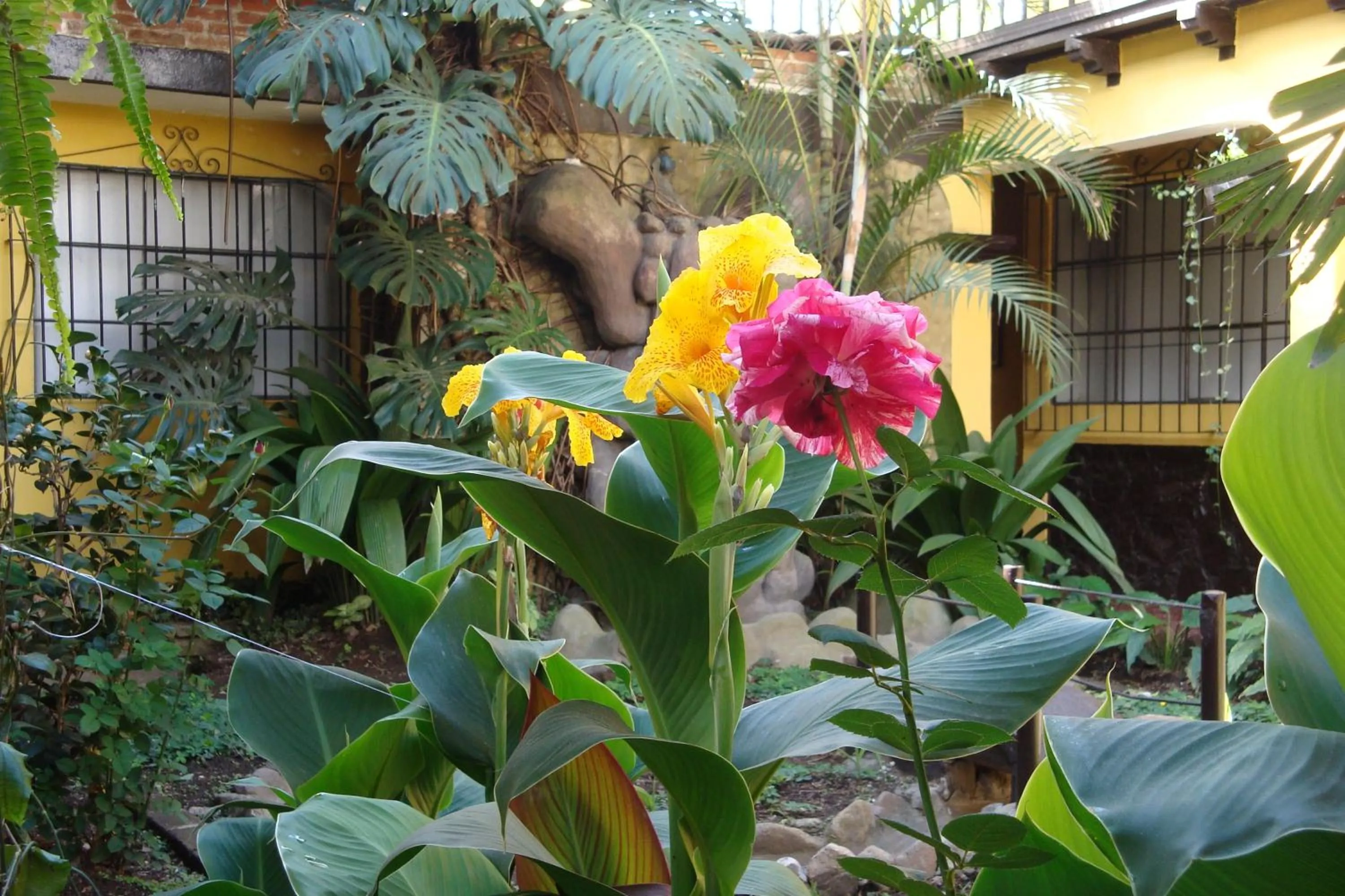 Garden in Hotel Las Camelias Inn by AHS