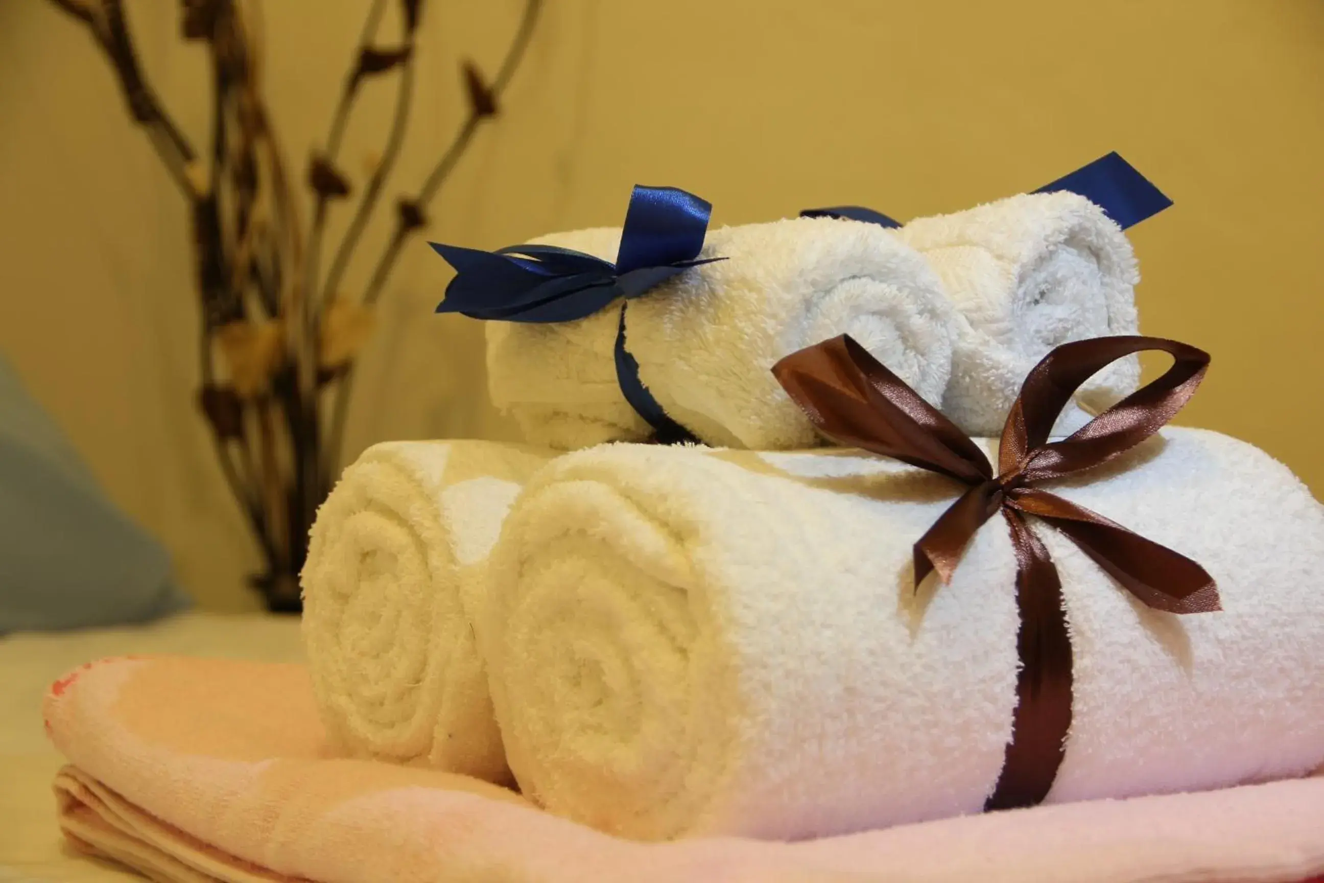 Bed in Prima B&B Hostel Bed in Prima B&B Hostel