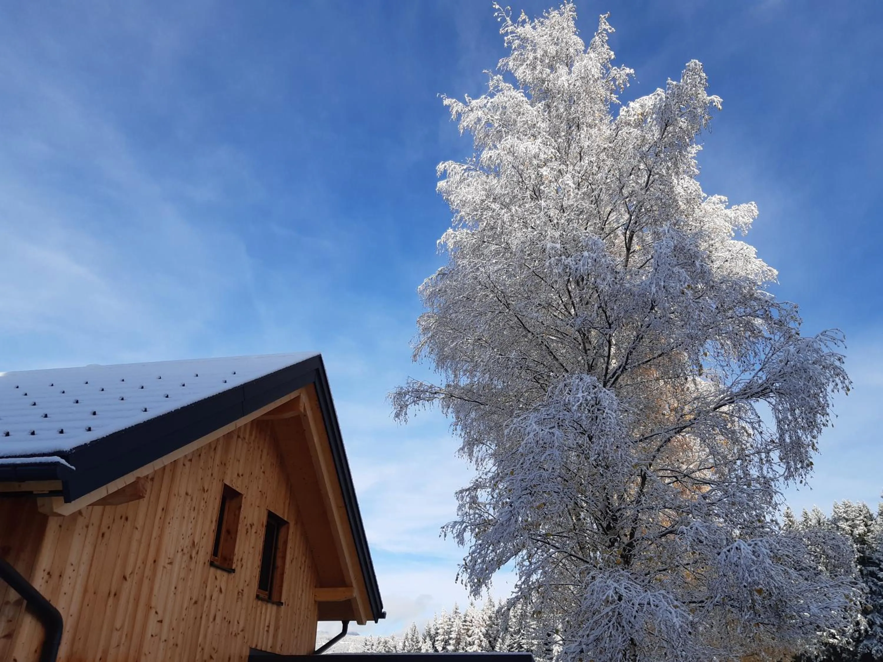 Winter in Auszeit Almhaus Schmalzbauer