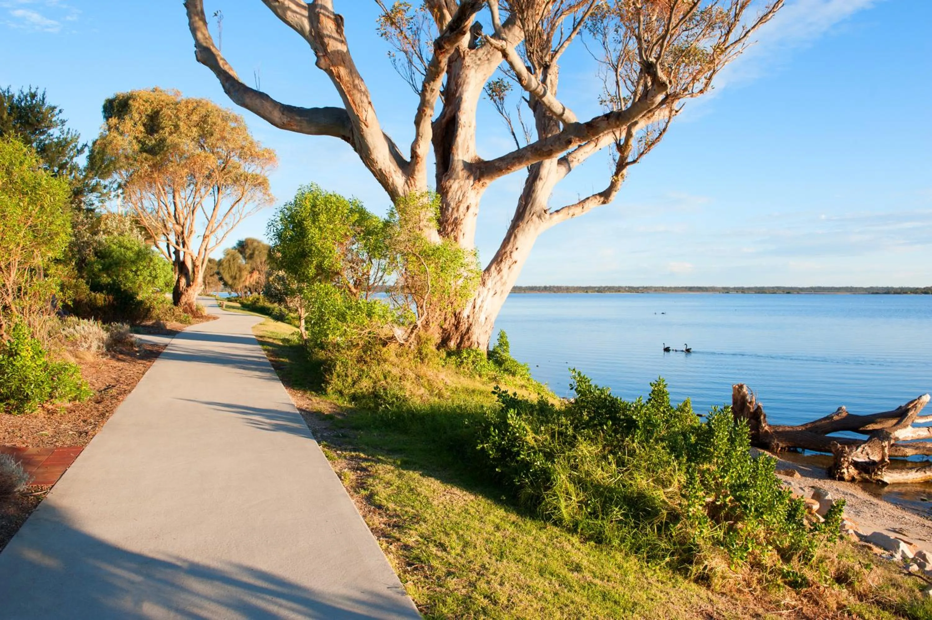 Natural landscape in The Moorings at Metung