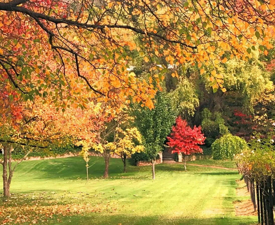 Chestnut Tree Holiday Units